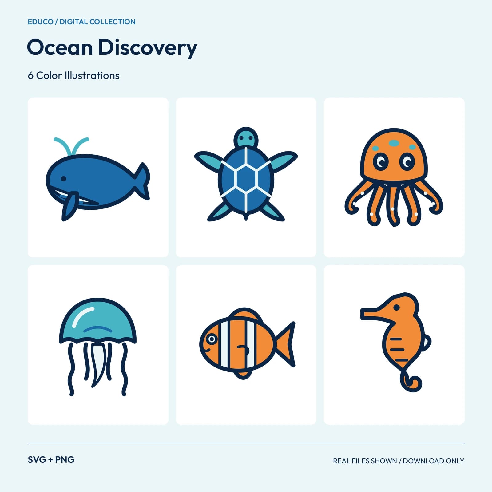 Ocean Discovery - 6 Color Illustrations preview