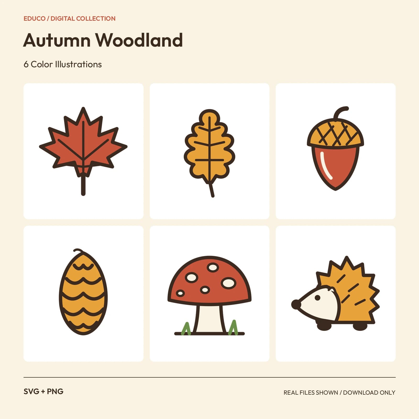 Autumn Woodland - 6 Color Illustrations preview