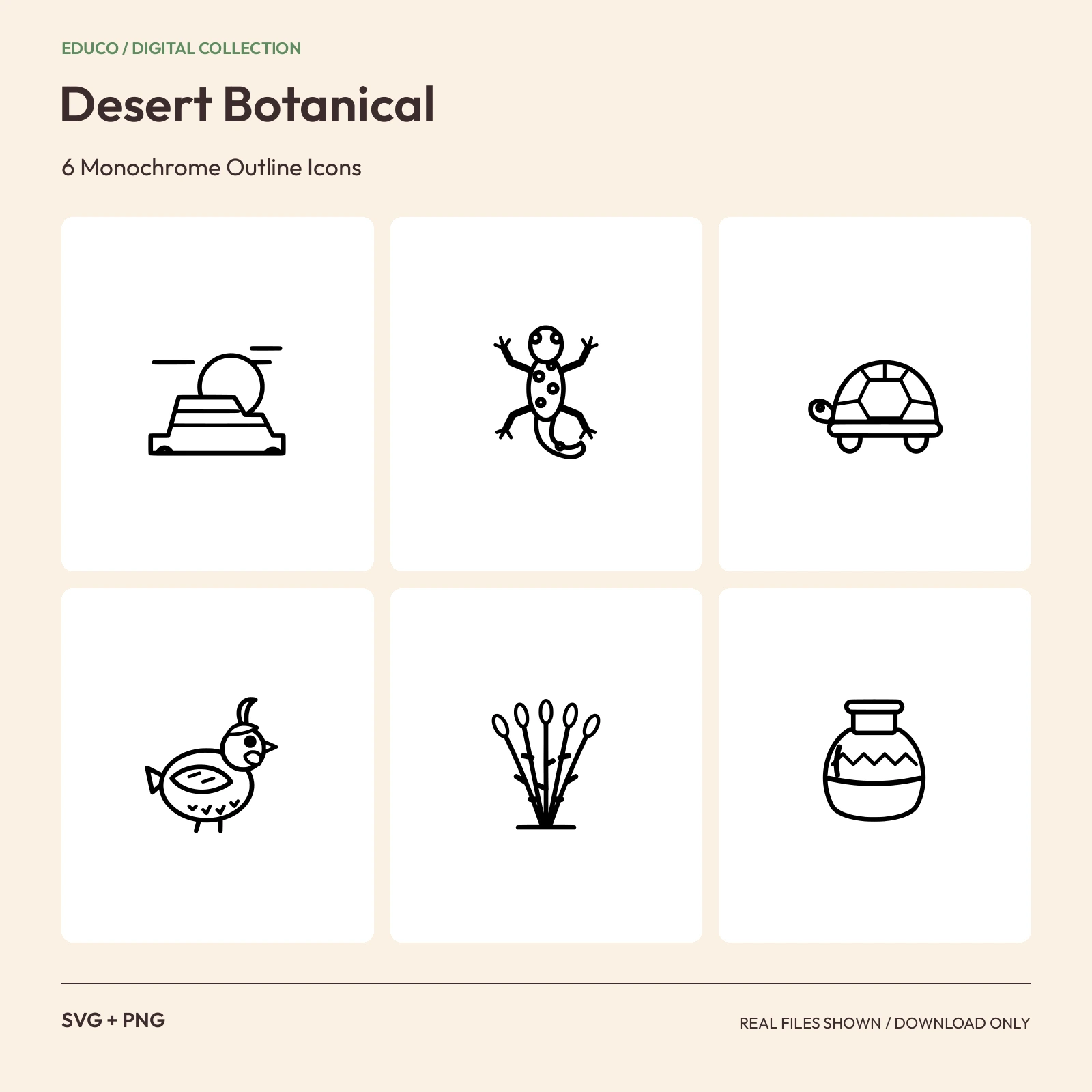 Desert Botanical - 6 Monochrome Outline Icons preview