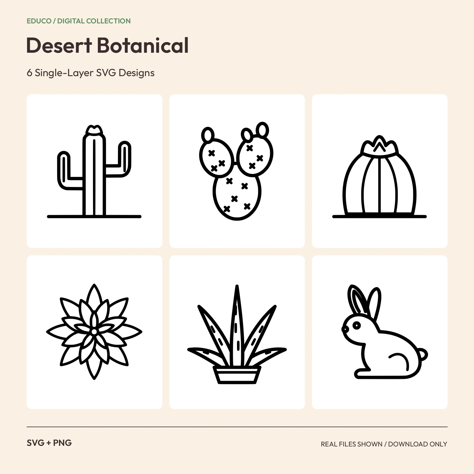Desert Botanical - 6 Single-Layer SVG Designs preview
