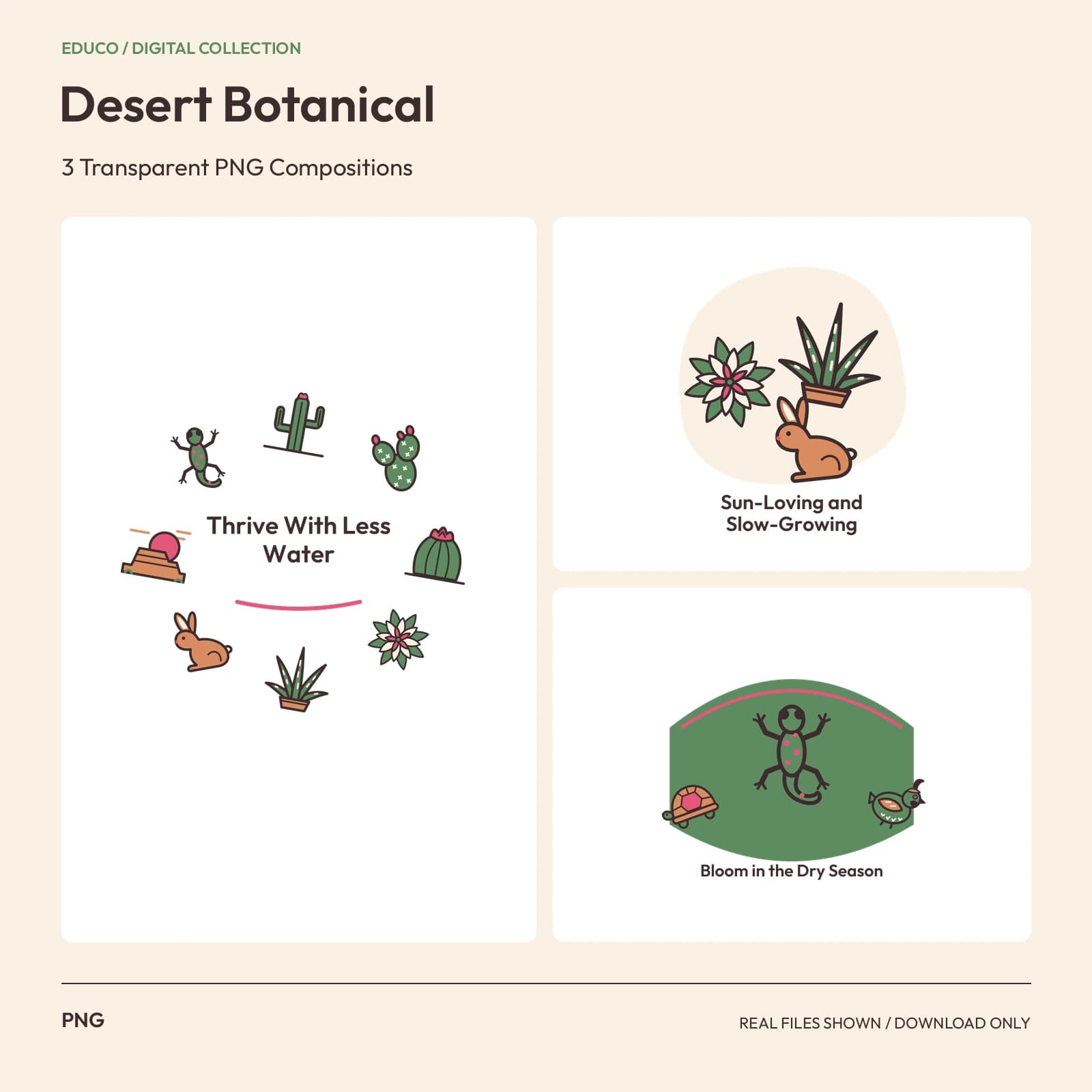 Desert Botanical - 3 Transparent PNG Compositions preview