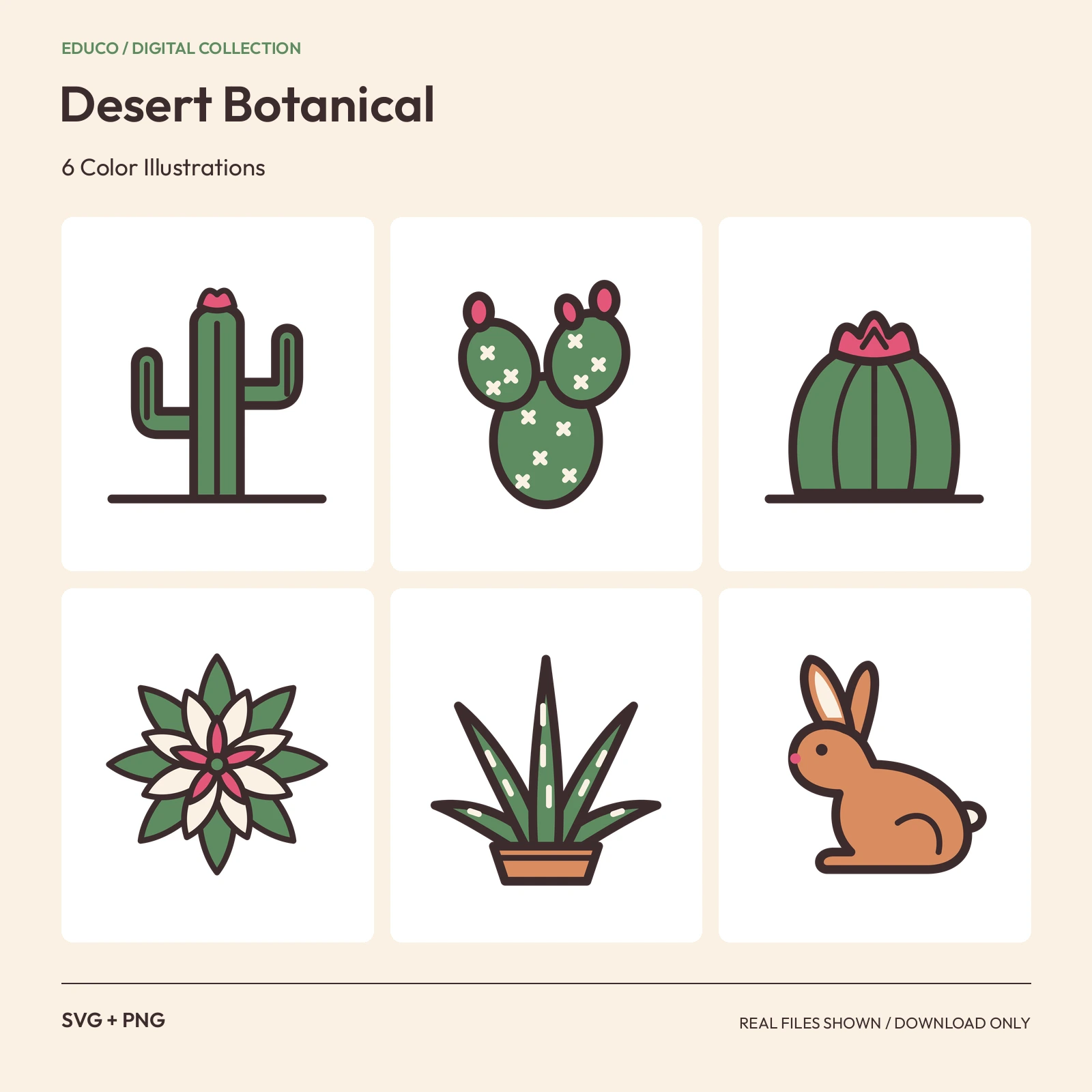 Desert Botanical - 6 Color Illustrations preview