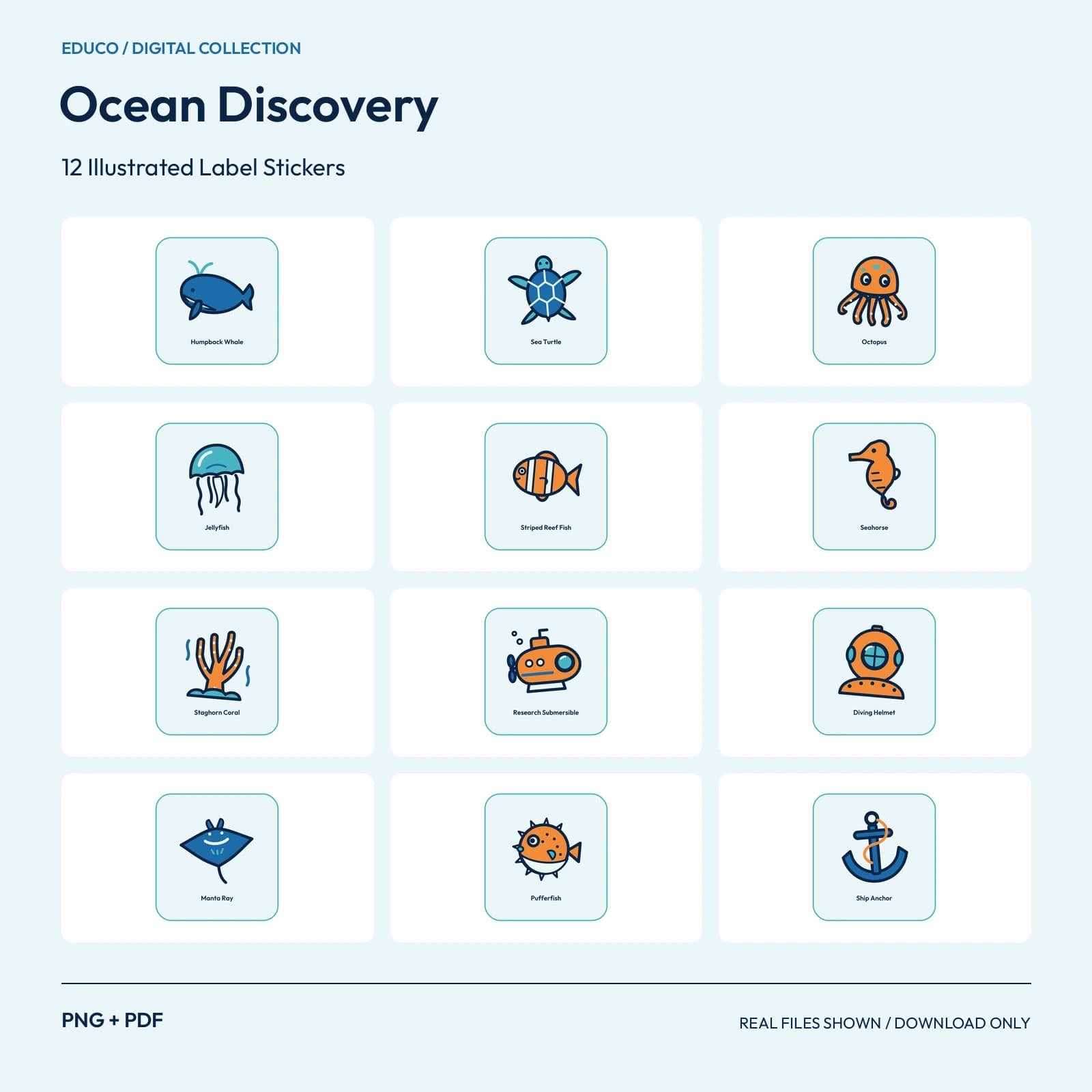 Ocean Discovery - 12 Illustrated Label Stickers preview