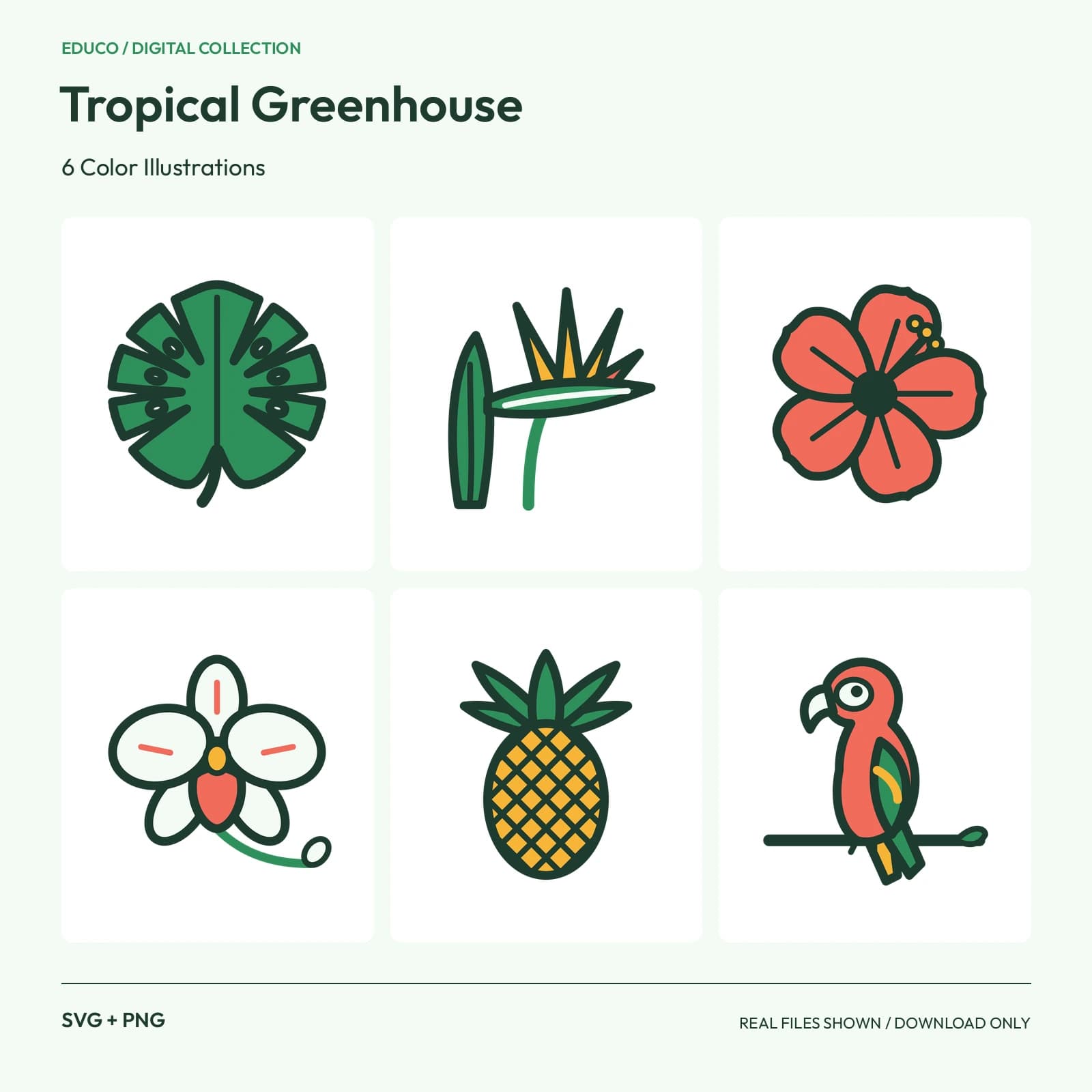 Tropical Greenhouse - 6 Color Illustrations preview