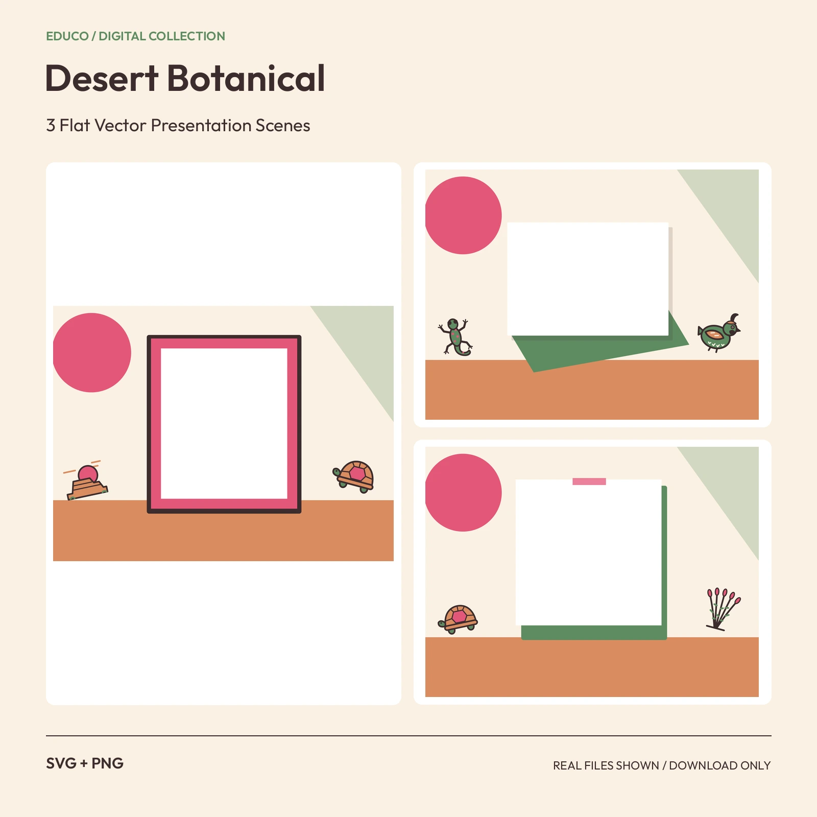 Desert Botanical - 3 Flat Vector Presentation Scenes preview