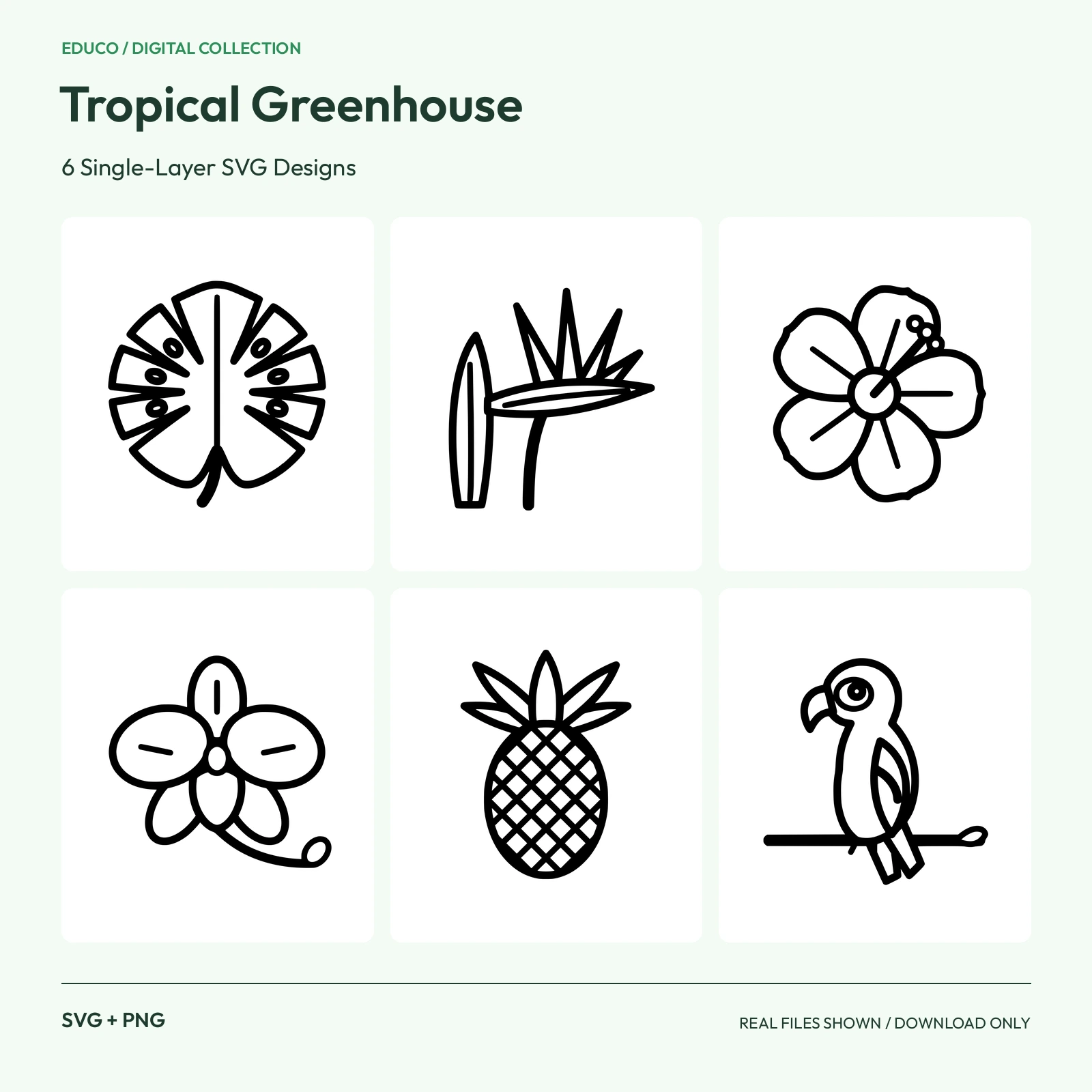Tropical Greenhouse - 6 Single-Layer SVG Designs preview