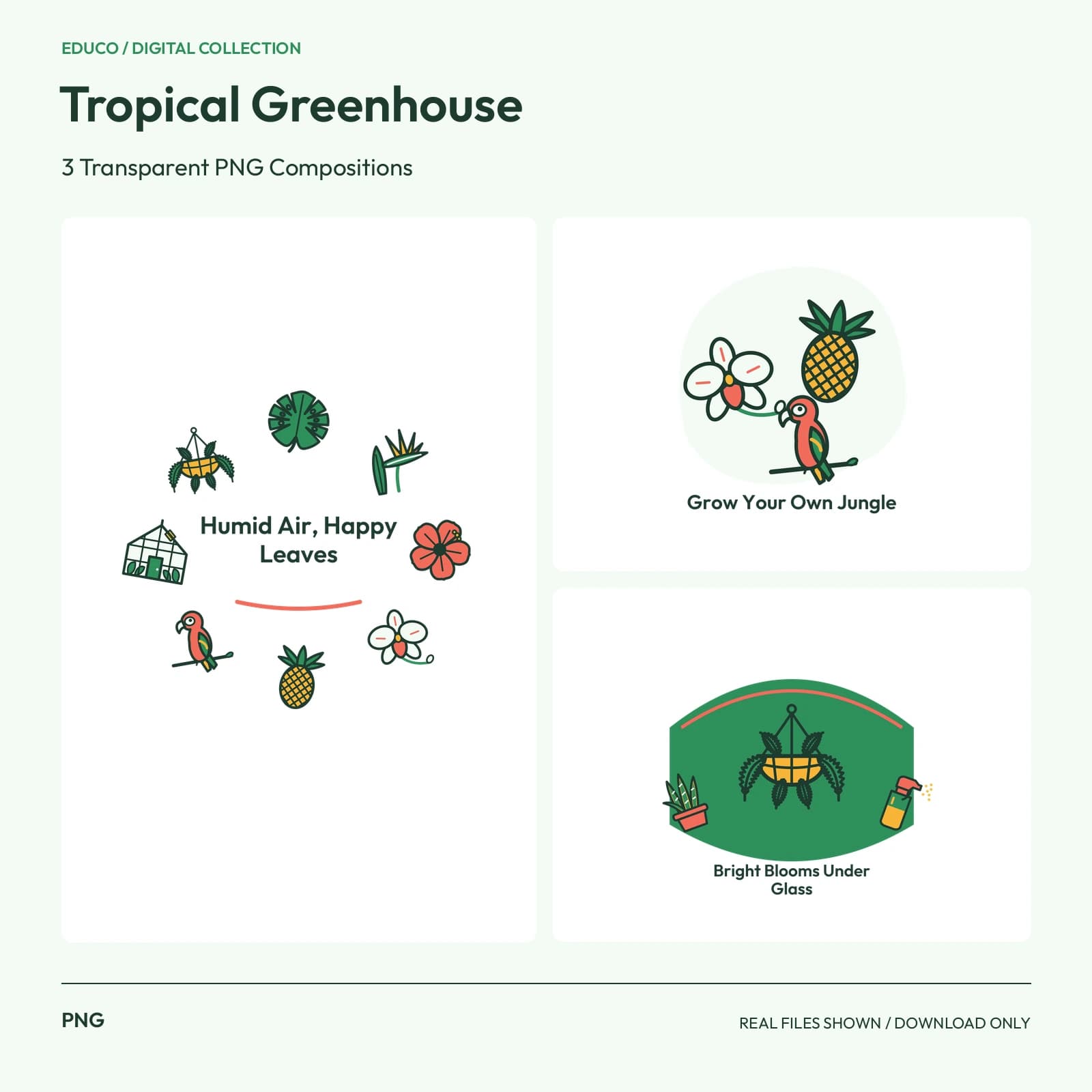 Tropical Greenhouse - 3 Transparent PNG Compositions preview