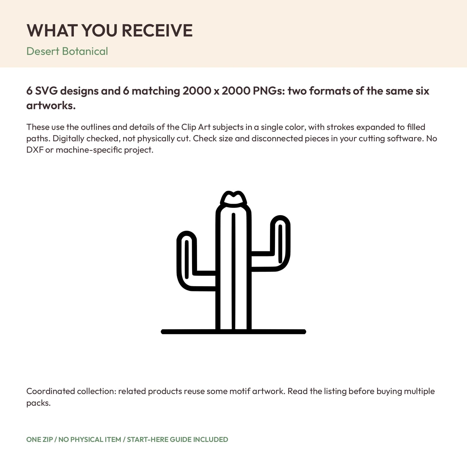 Desert Botanical - 6 Single-Layer SVG Designs, preview 2 of 2