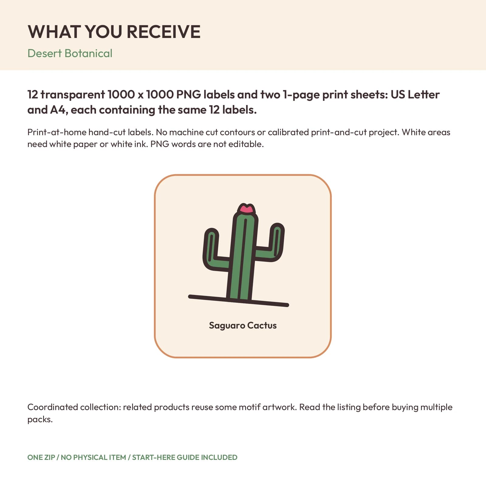 Desert Botanical - 12 Illustrated Label Stickers, preview 2 of 2
