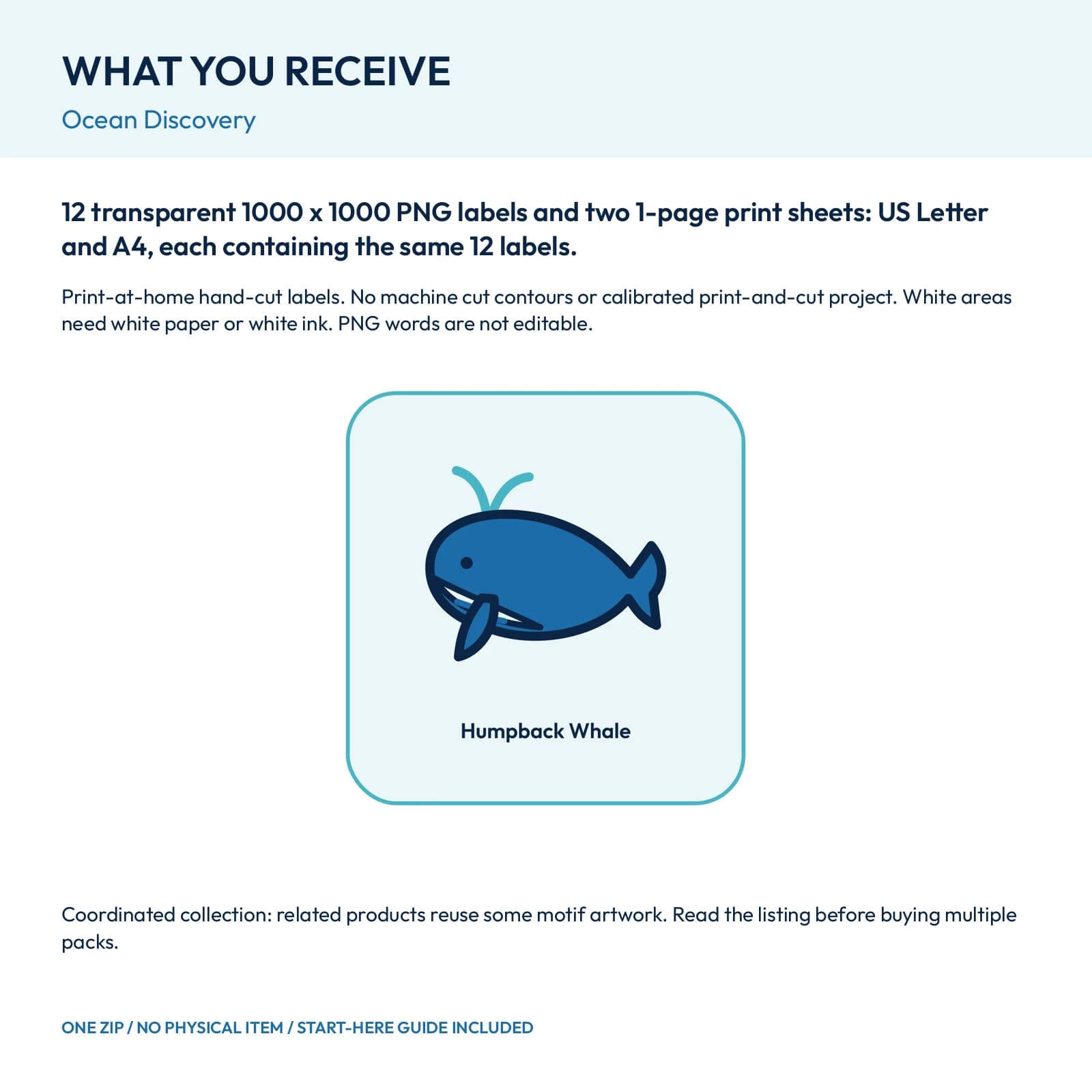 Ocean Discovery - 12 Illustrated Label Stickers, preview 2 of 2