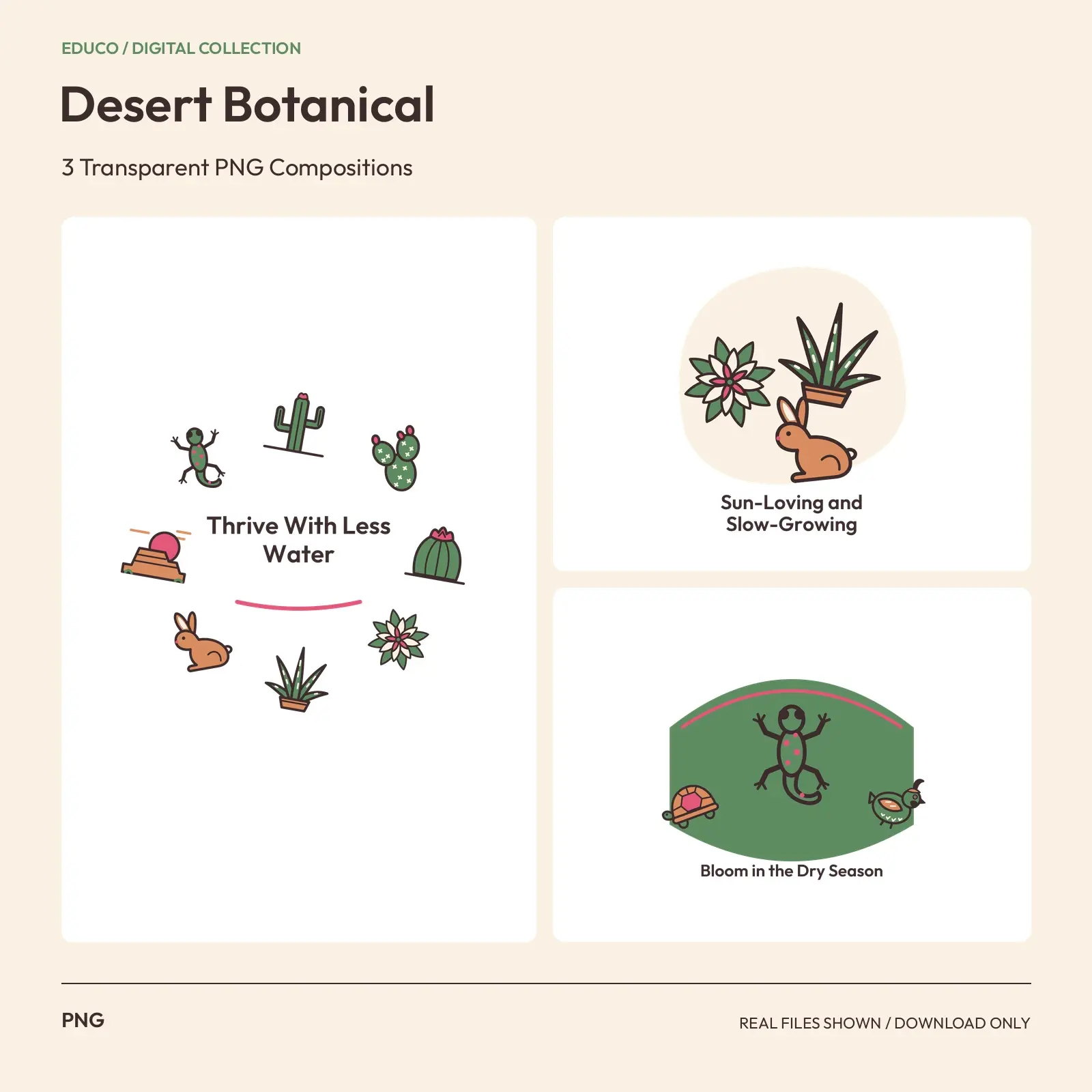 Desert Botanical - 3 Transparent PNG Compositions preview