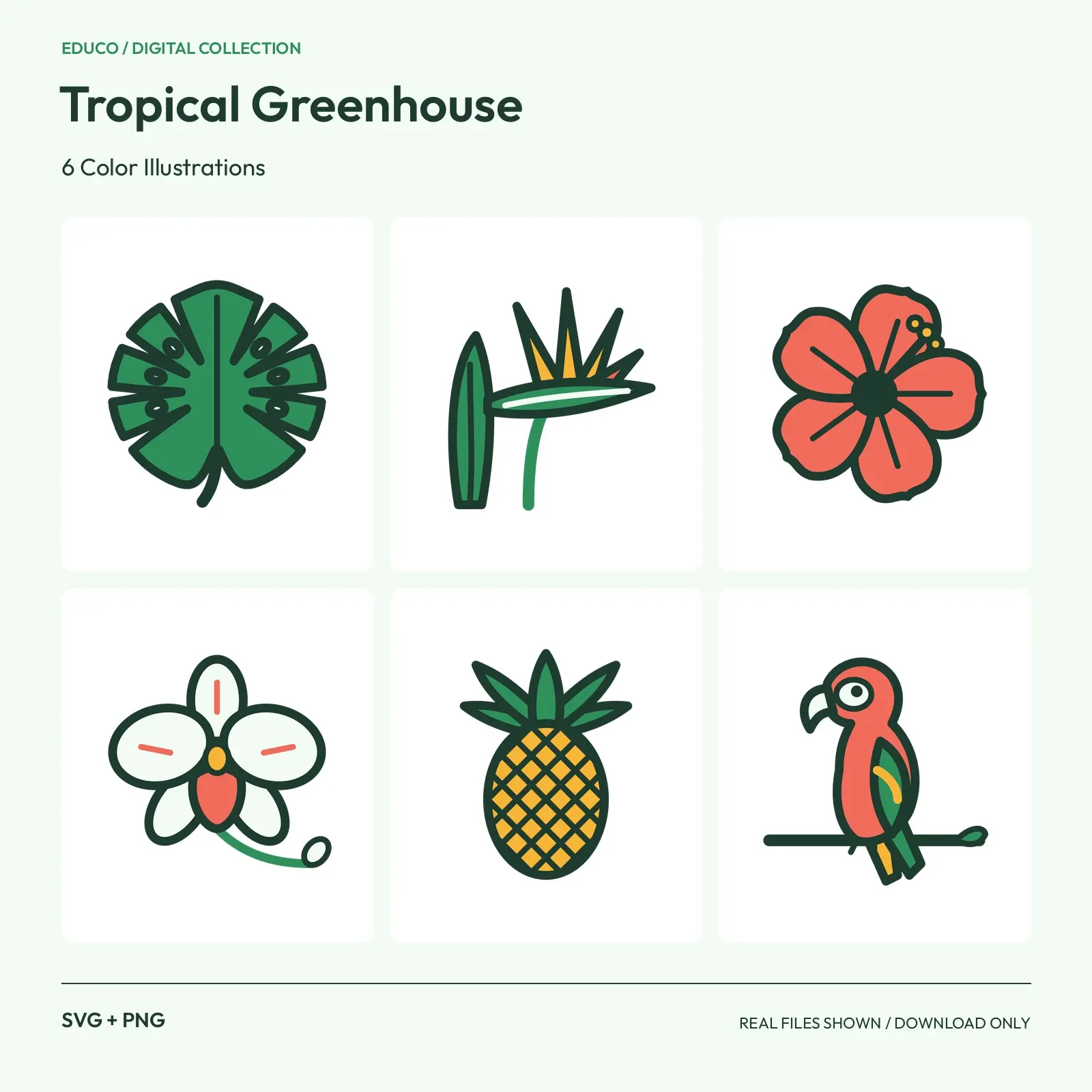 Tropical Greenhouse - 6 Color Illustrations preview