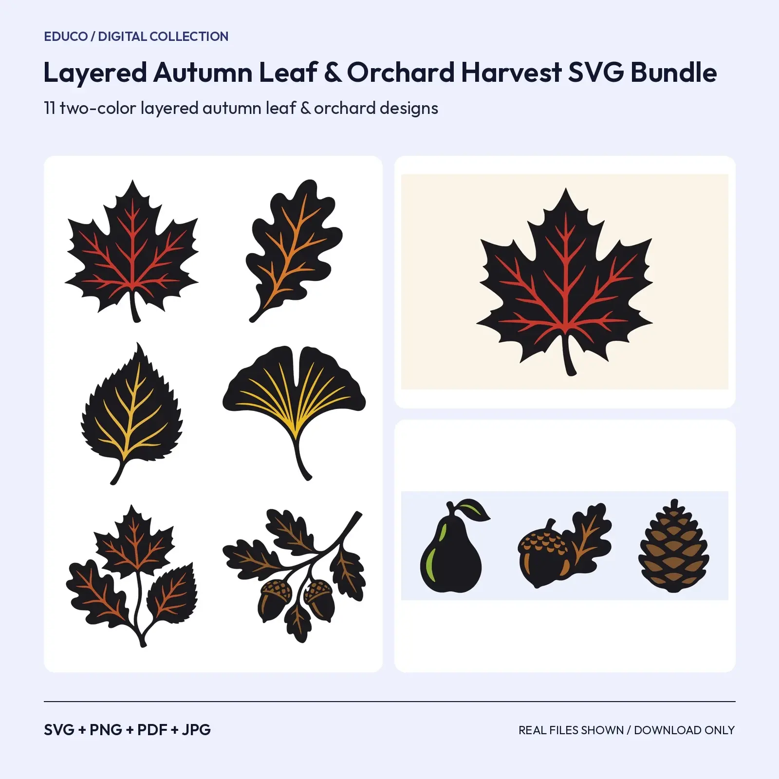 Layered Autumn Leaf & Orchard Harvest SVG Bundle – 11 Fall Designs preview