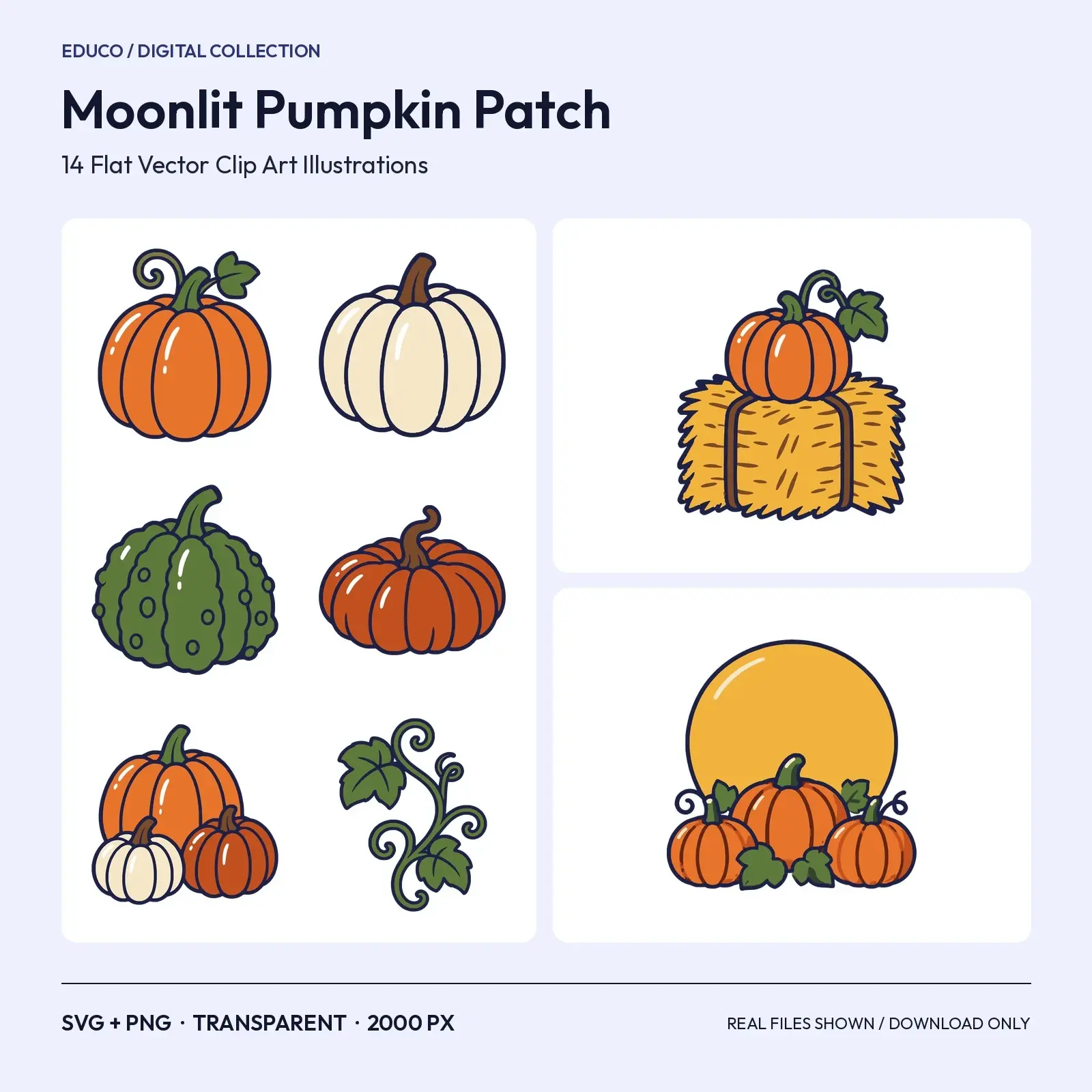Moonlit Pumpkin Patch Clip Art – 14 Flat Vector Pumpkins, Vines and Farm Props preview