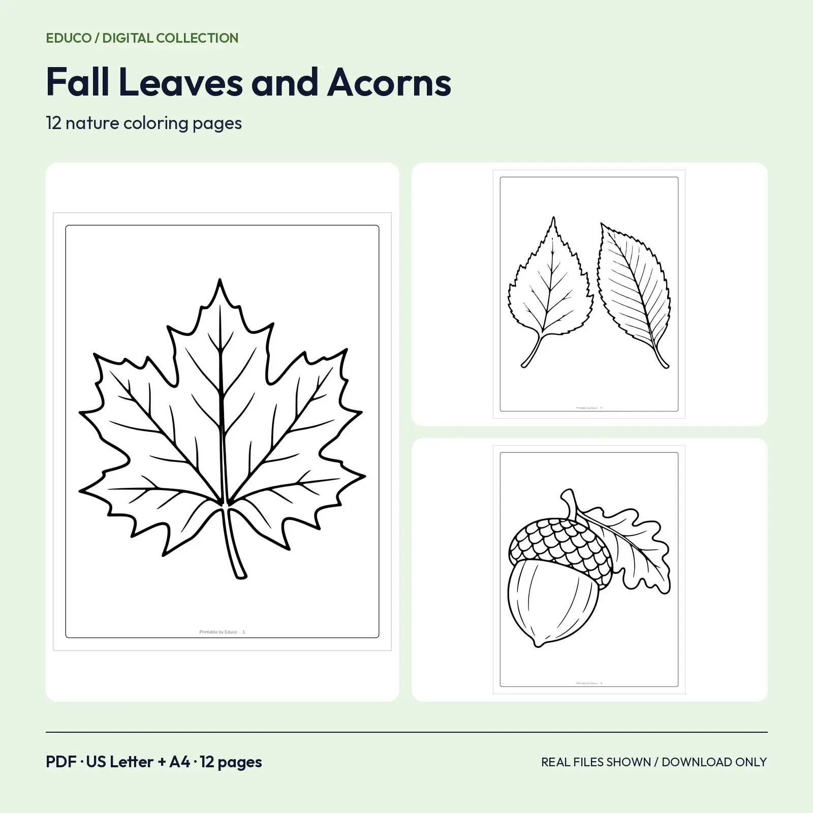 Fall Leaves and Acorns Coloring Pages – 12 Nature Designs for Kids and Adults, preview 1 of 3