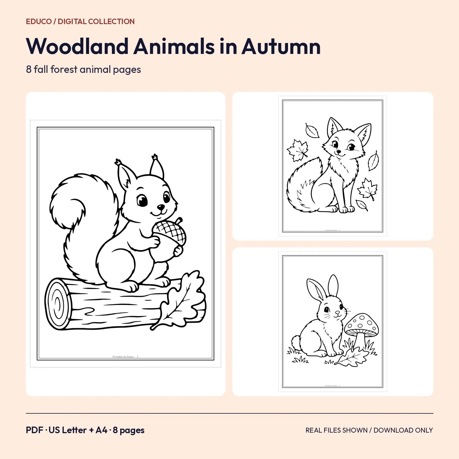 Woodland Animals in Autumn Coloring Pages – 8 Fox, Owl, Hedgehog and More, preview 1 of 3