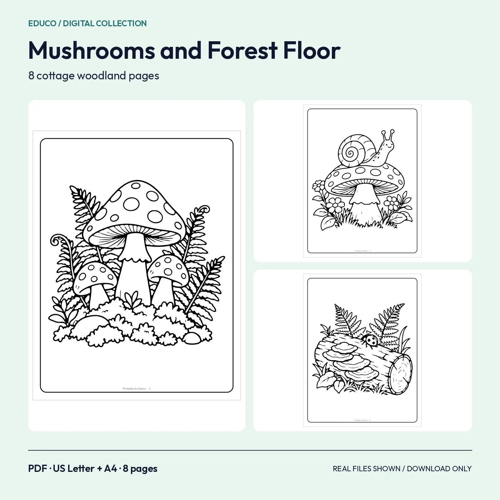 Mushrooms and Forest Floor Coloring Pages – 8 Cottage Woodland Designs preview