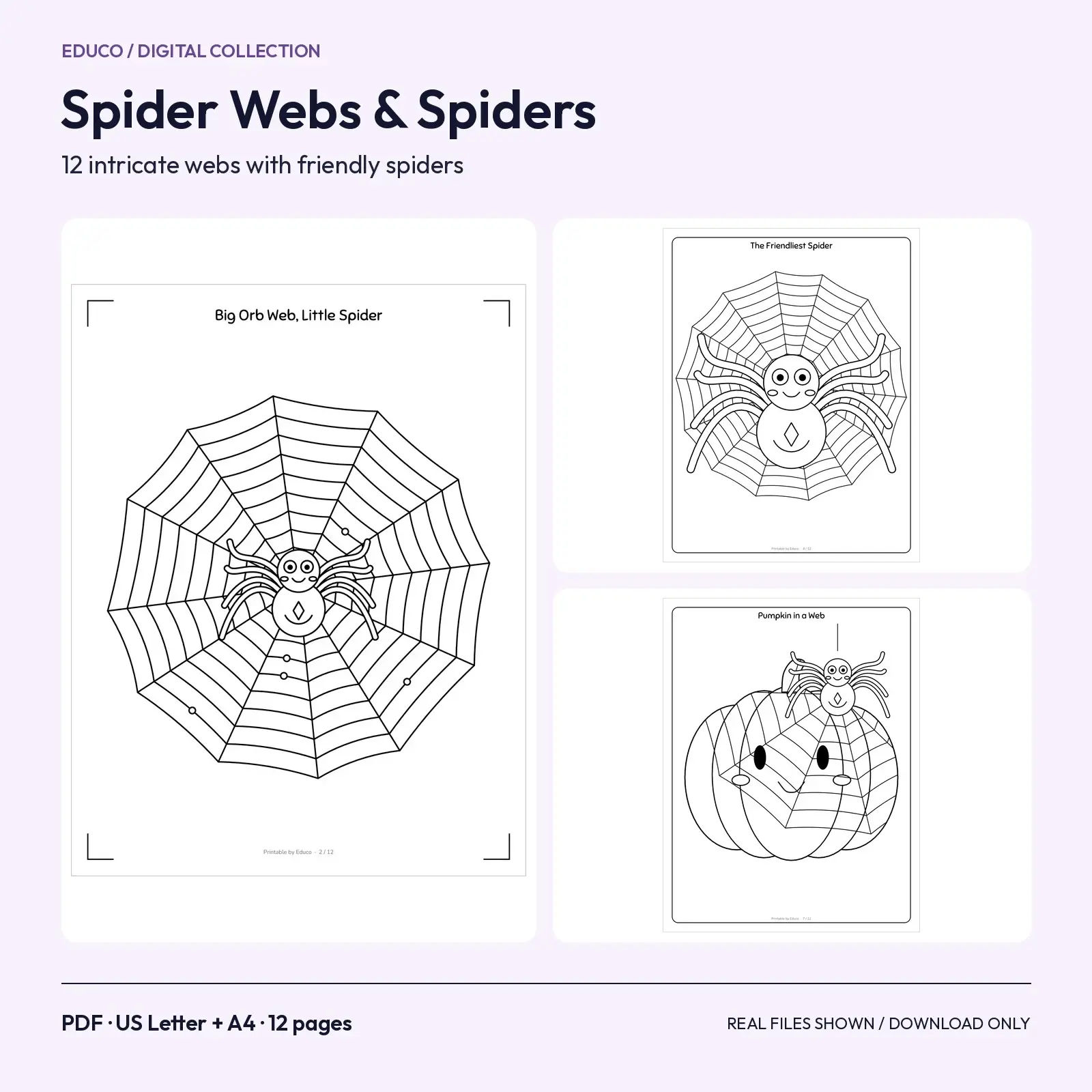 Spider Web and Friendly Spider Coloring Pages: 12 Spooky-Cute Halloween Printables preview