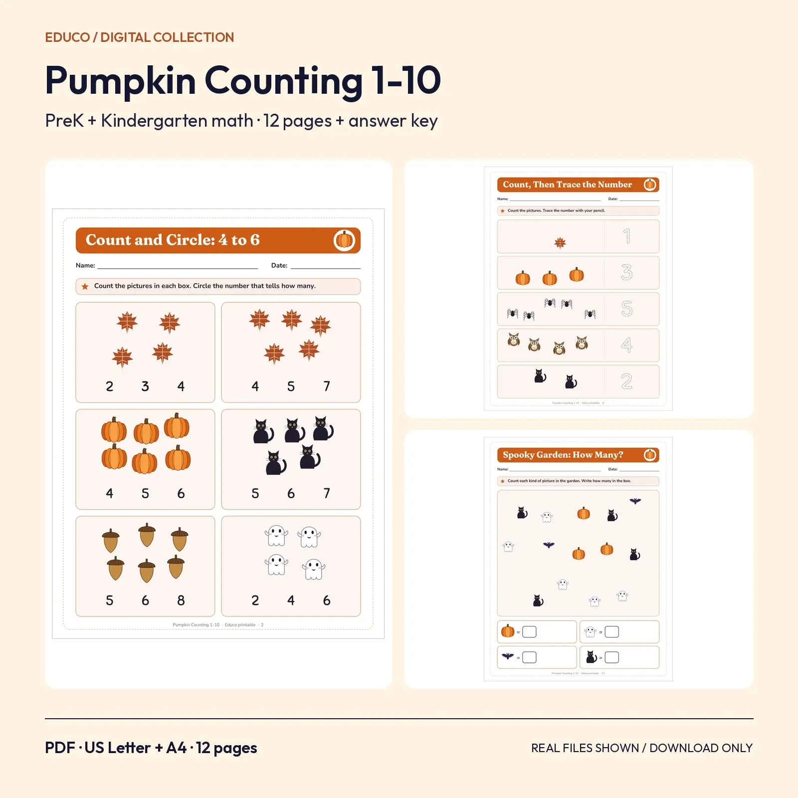 Pumpkin Counting 1-10 Worksheets for PreK and Kindergarten – 12 Printable Pages with Answer Key preview