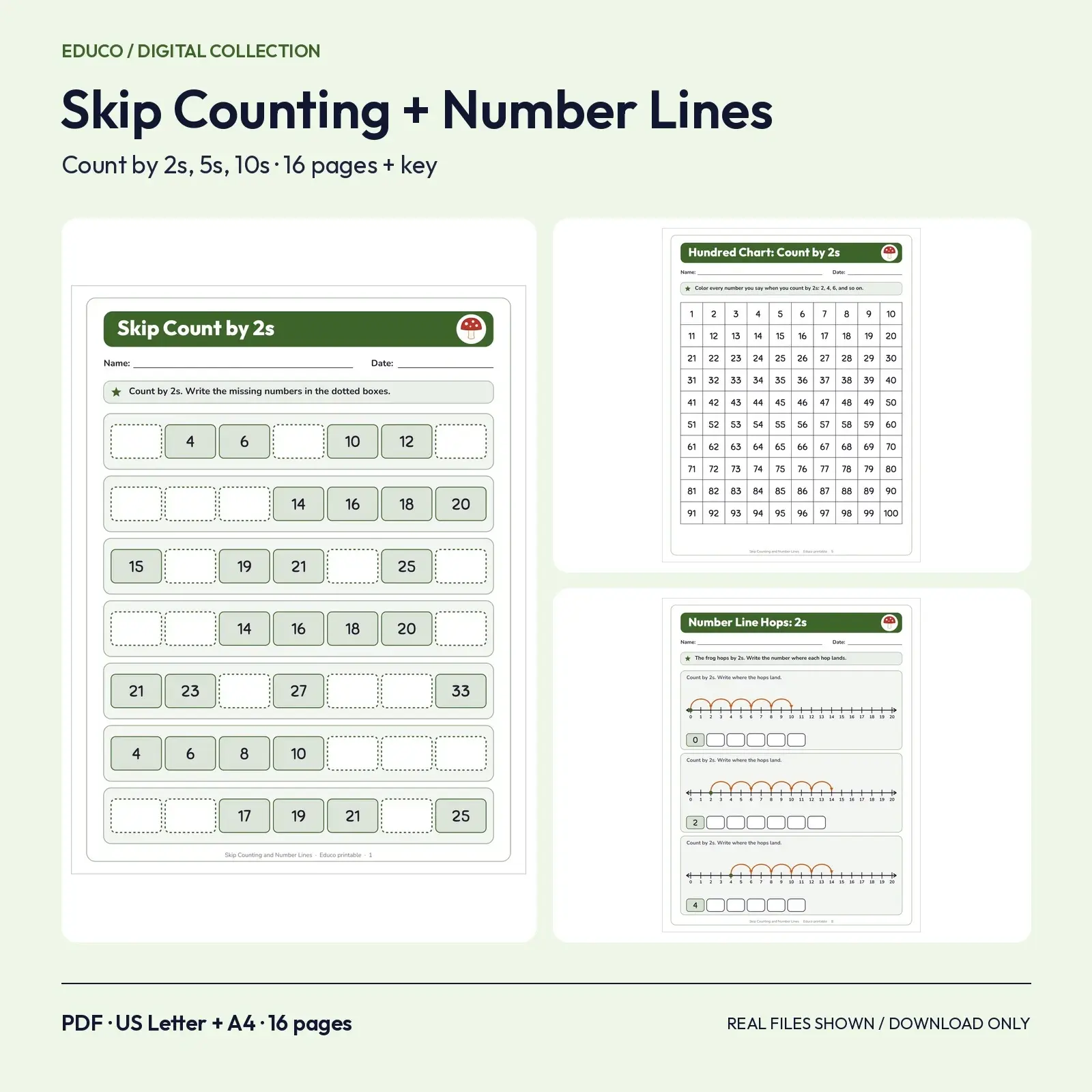 Skip Counting by 2s 5s 10s and Number Line Hops Worksheets – 16 Printable Pages preview