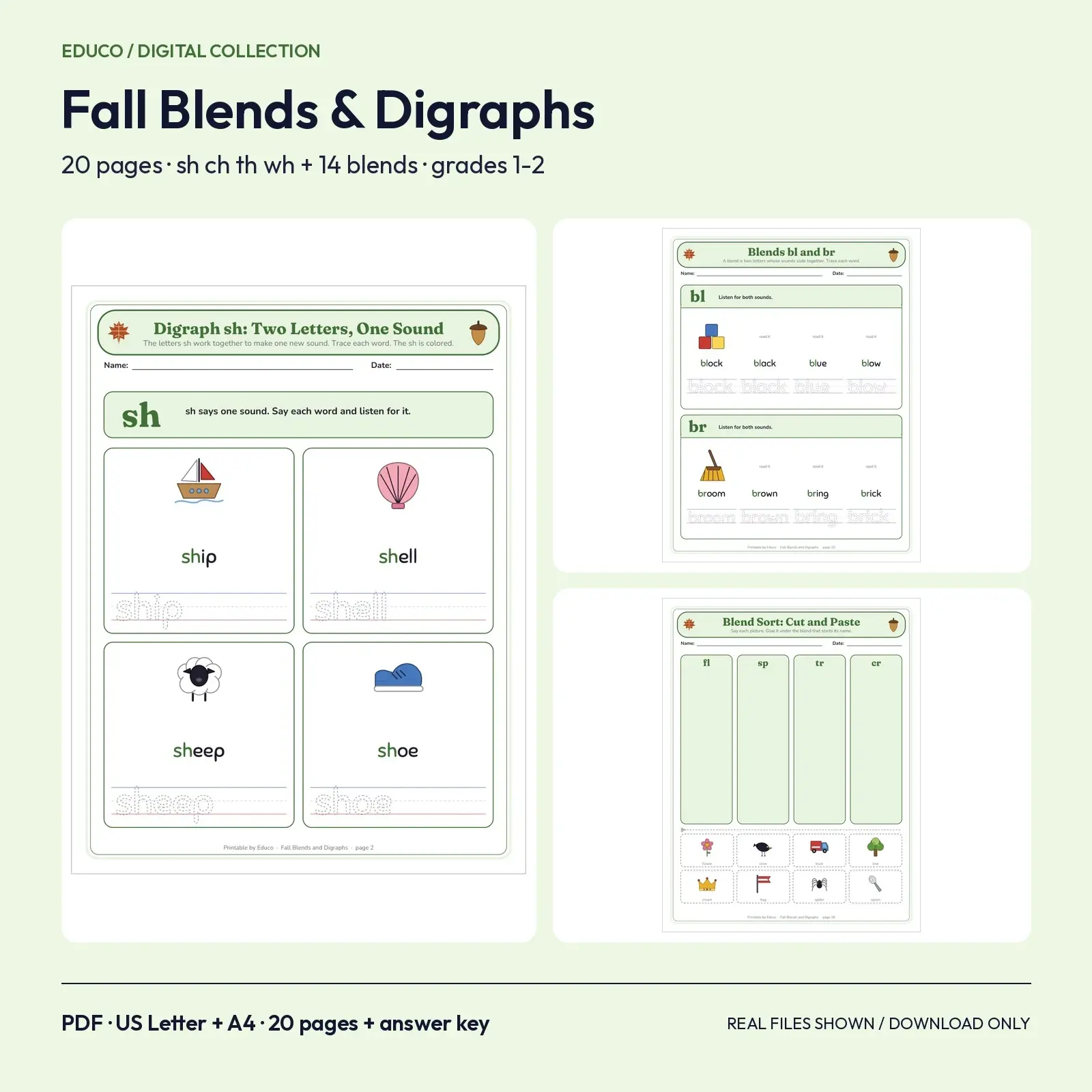 Fall Blends and Digraphs Worksheets - sh ch th wh Plus 14 Consonant Blends, 20 Pages with Pictures, Grades 1-2 preview