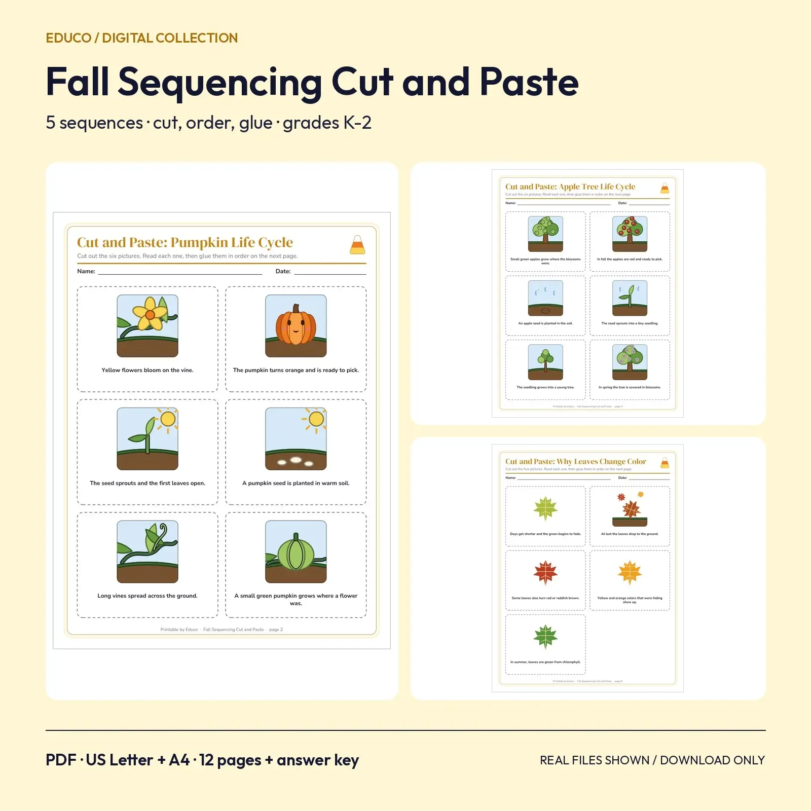 Fall Sequencing Cut and Paste Activities - 5 Life Cycle and How-To Sequences, 12 Pages, Grades K-2 preview