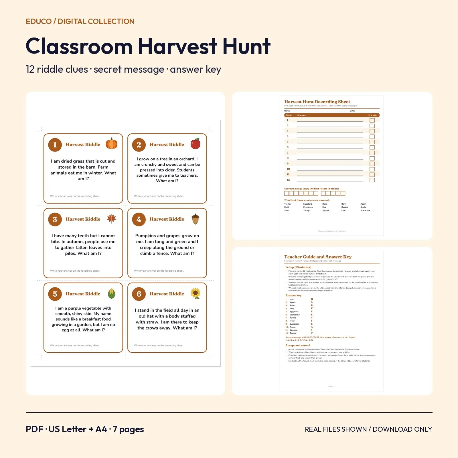 Classroom Harvest Hunt - 12 Fall Riddle Cards with Secret Message & Answer Key preview