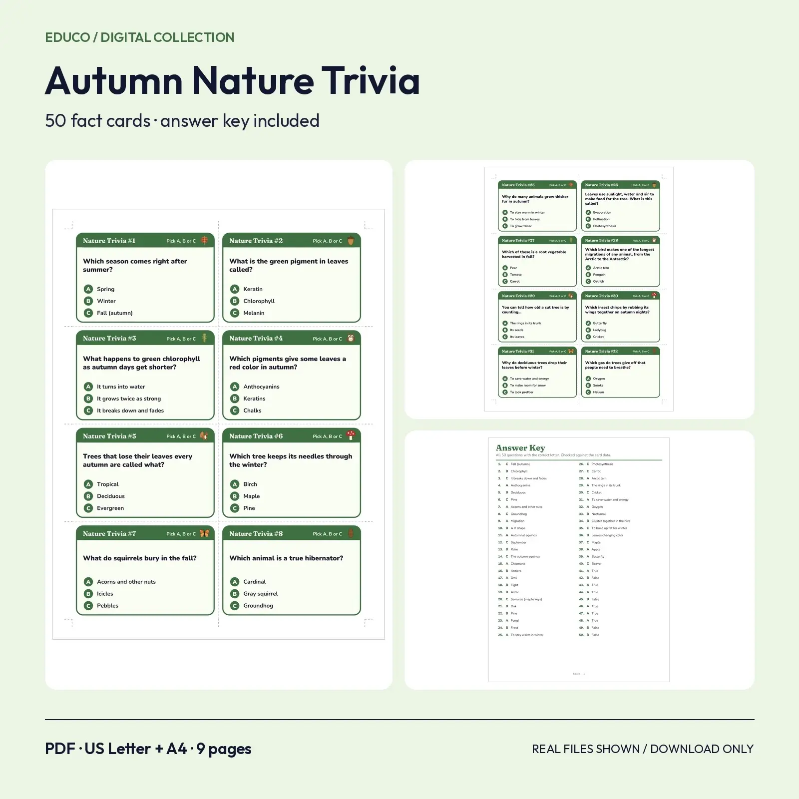 Autumn Nature Facts Trivia - 50 Printable Question Cards with Answer Key preview