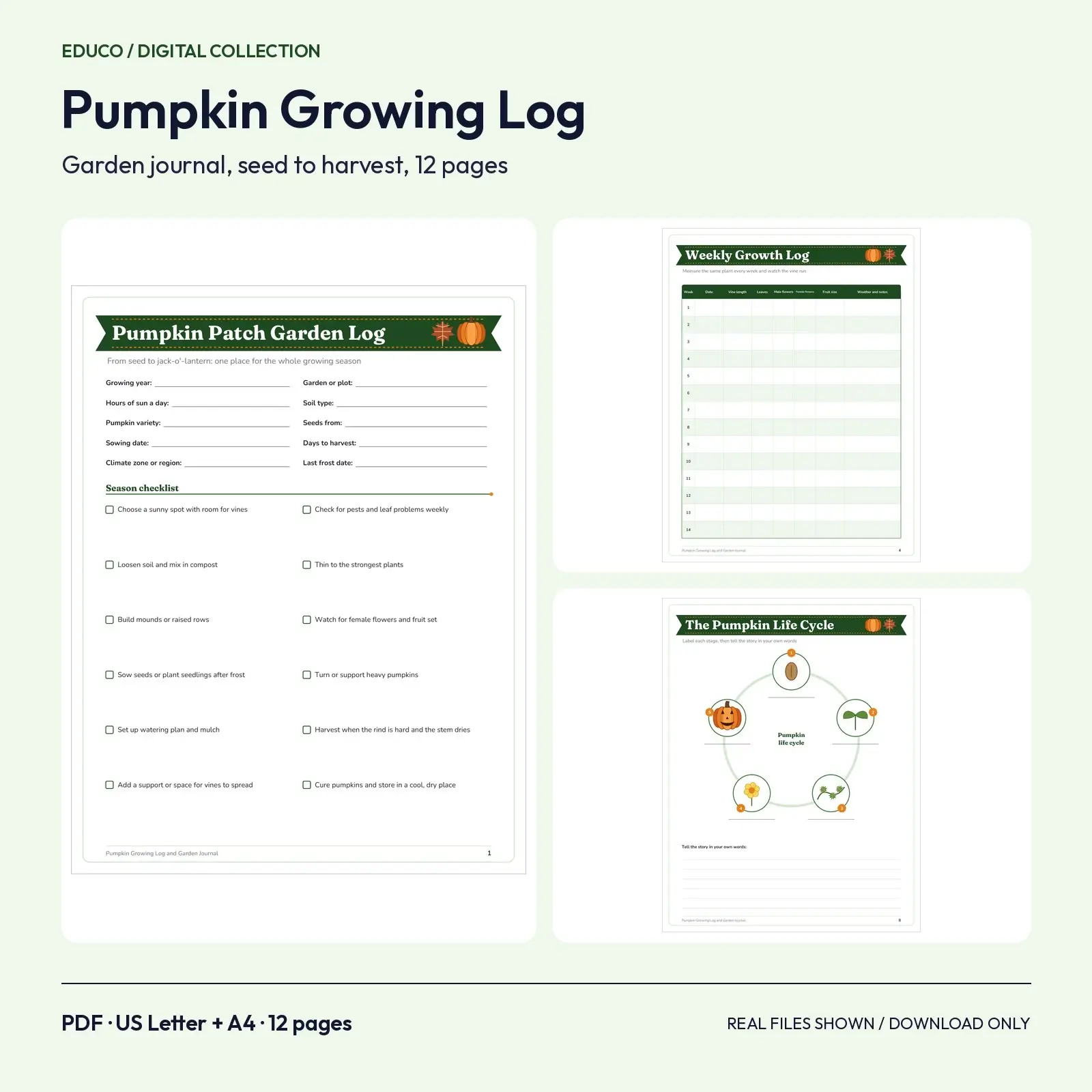 Pumpkin Growing Log and Garden Journal - 12 Printable Pages from Seed to Harvest preview