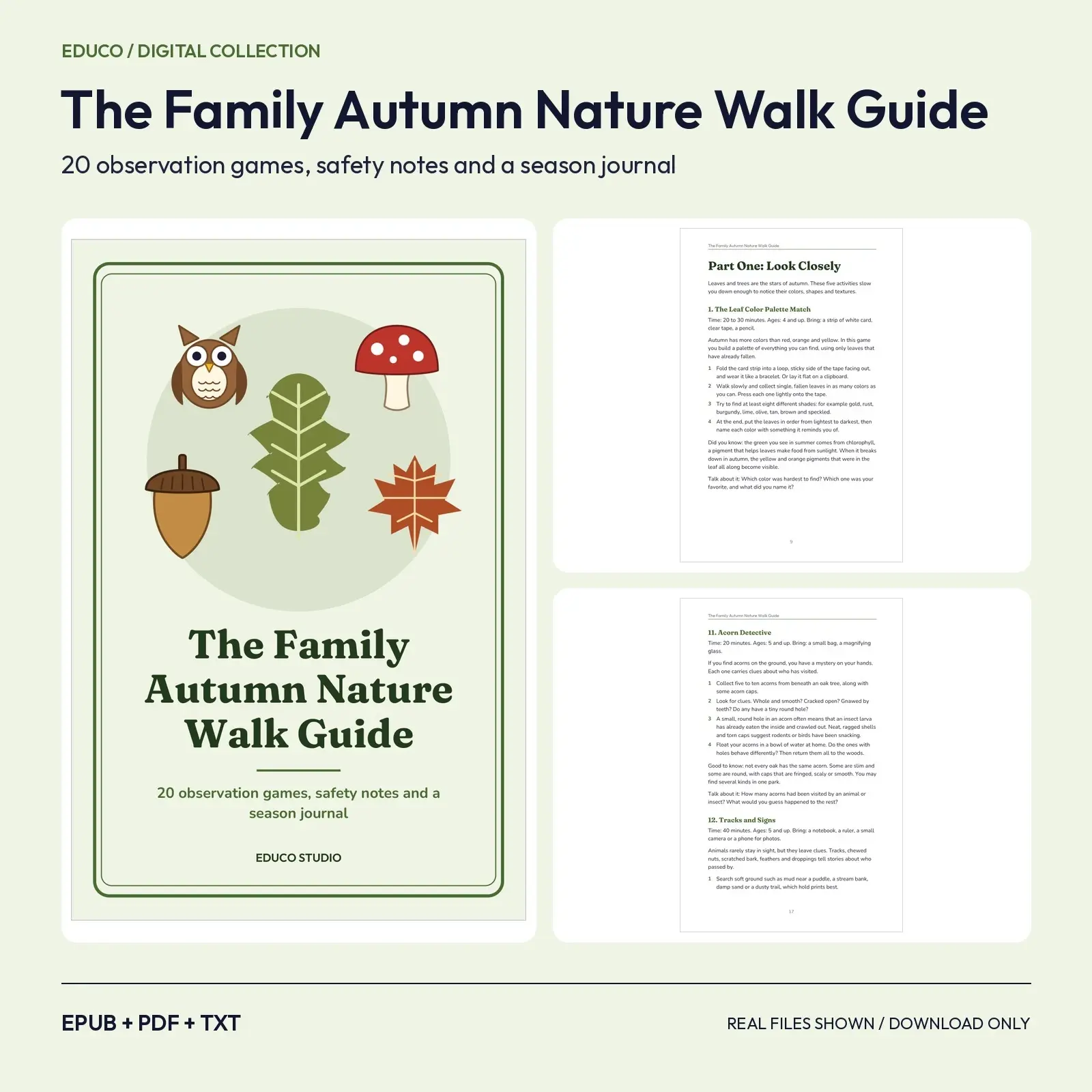 The Family Autumn Nature Walk Guide preview