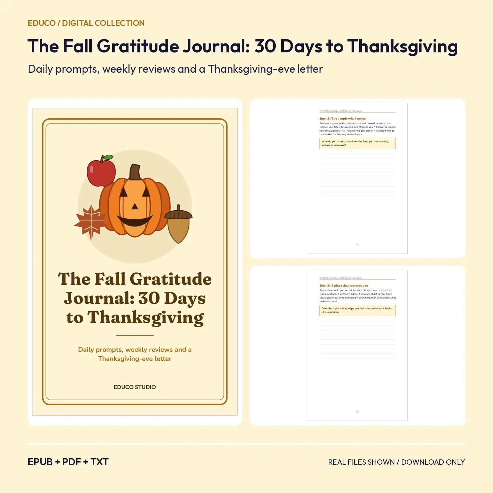 The Fall Gratitude Journal: 30 Days to Thanksgiving preview