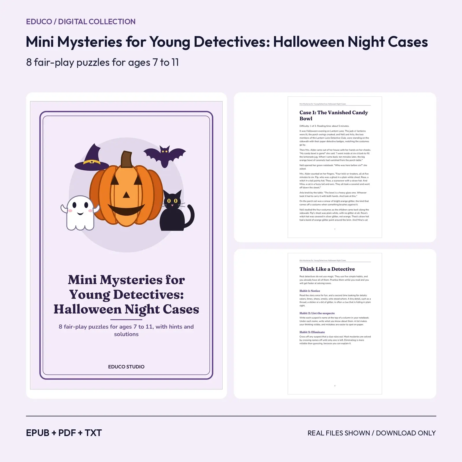 Mini Mysteries for Young Detectives: 8 Halloween Night Cases for Ages 7 to 11 preview