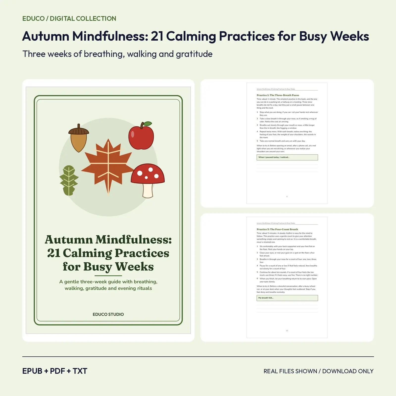 Autumn Mindfulness: 21 Calming Practices for Busy Weeks (EPUB + PDF + TXT) preview