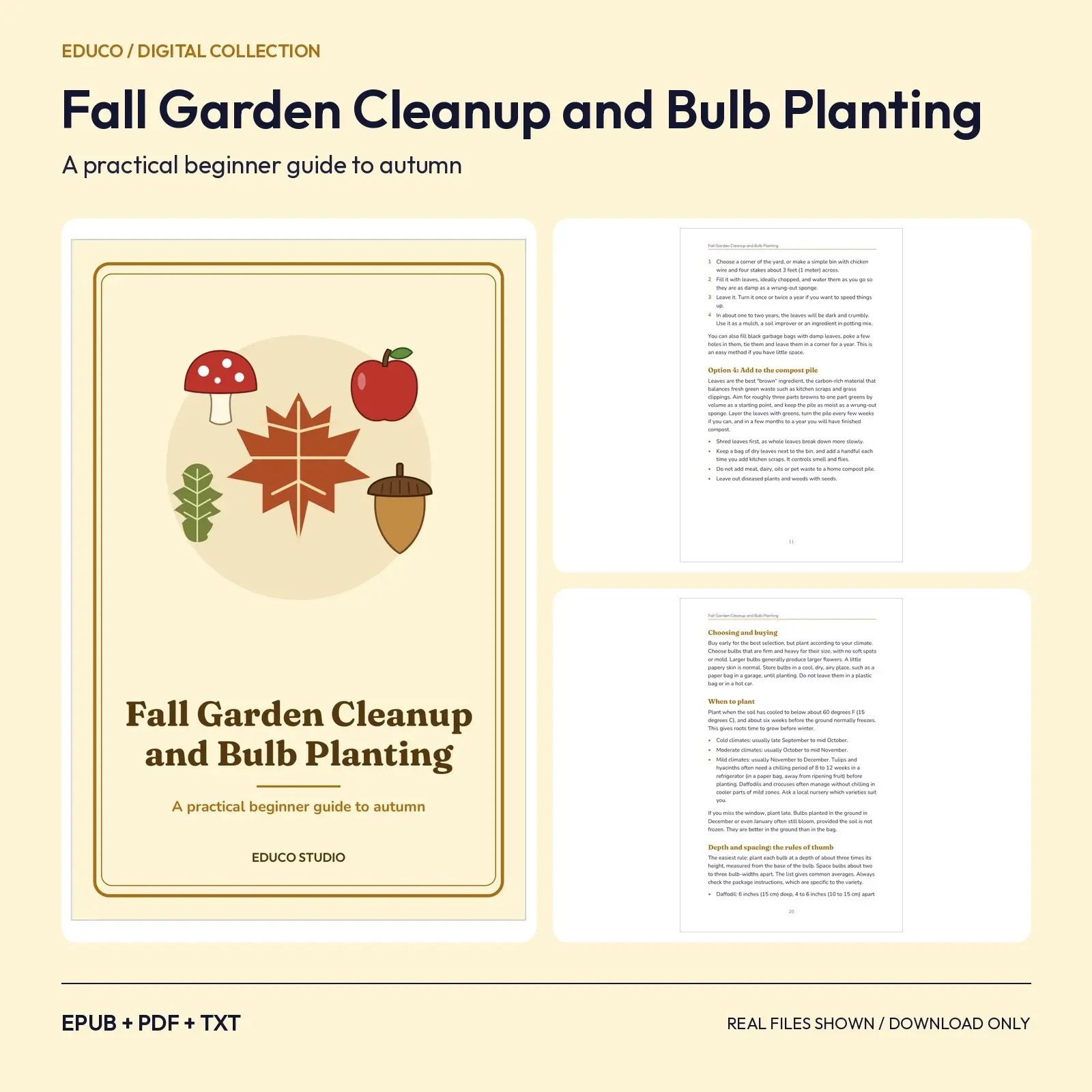 Fall Garden Cleanup and Bulb Planting for Beginners: A Practical Autumn Guide preview
