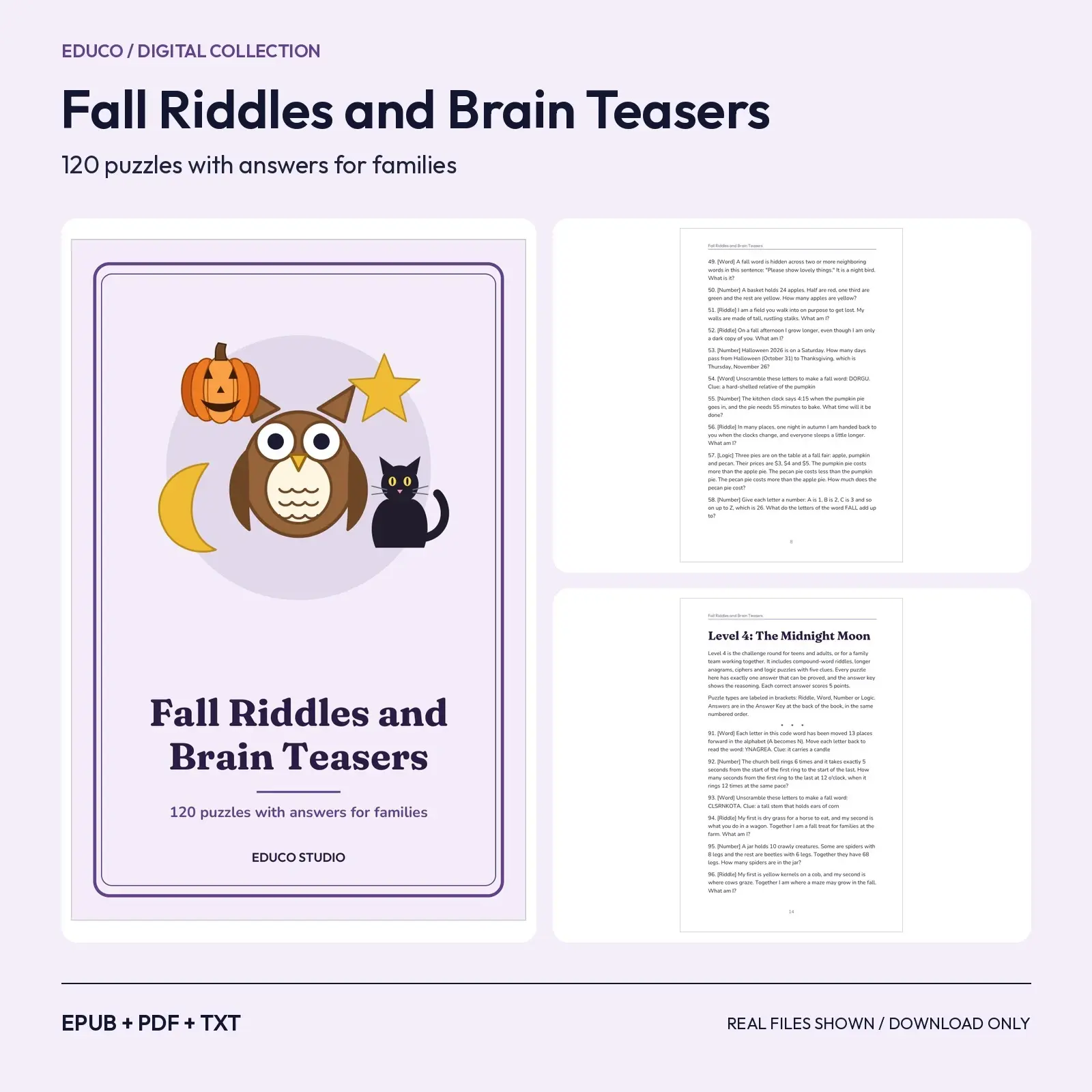 Fall Riddles and Brain Teasers for Families: 120 Puzzles With Answers preview