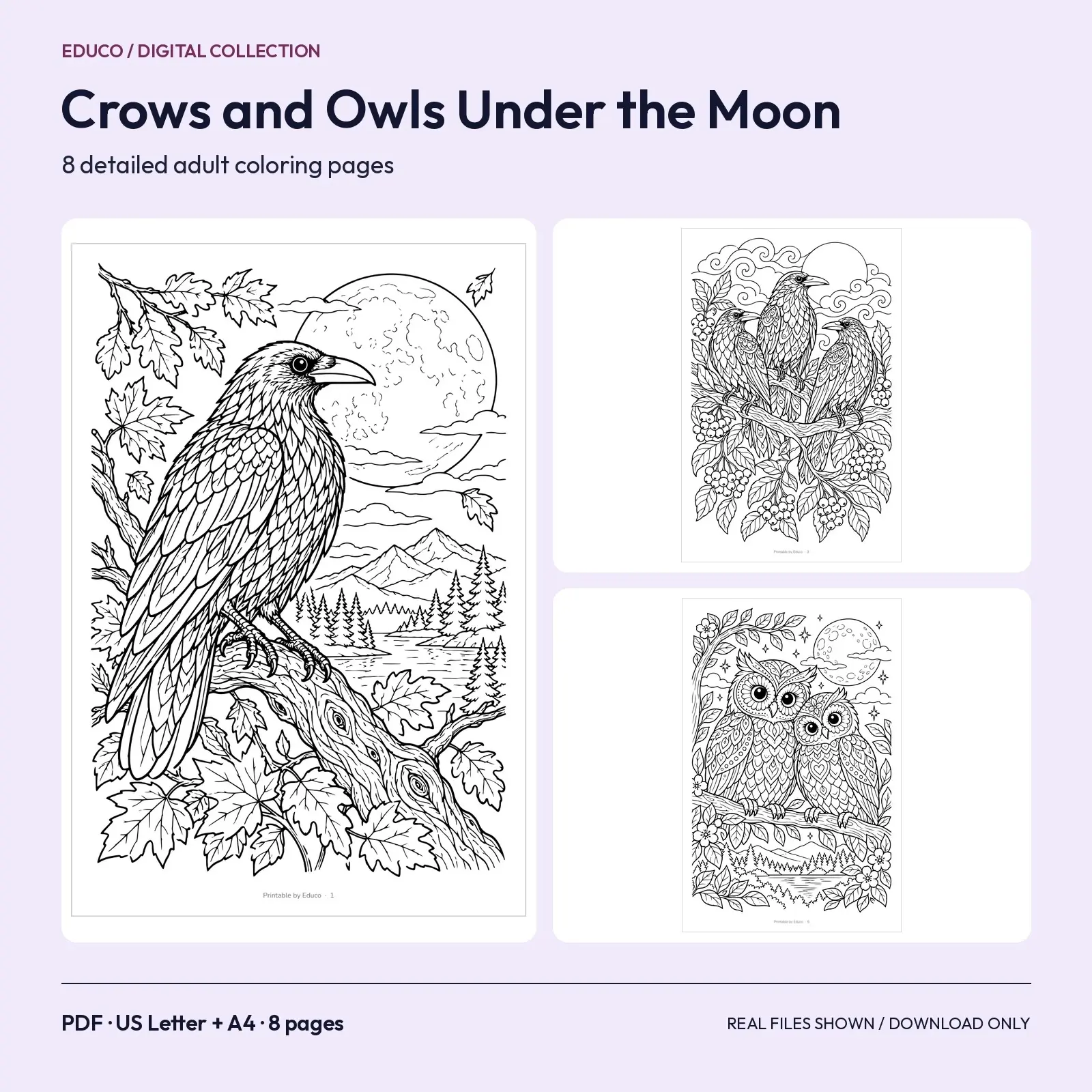 Crows and Owls in Moonlit Branches Coloring Pages – 8 Detailed Adult Designs preview