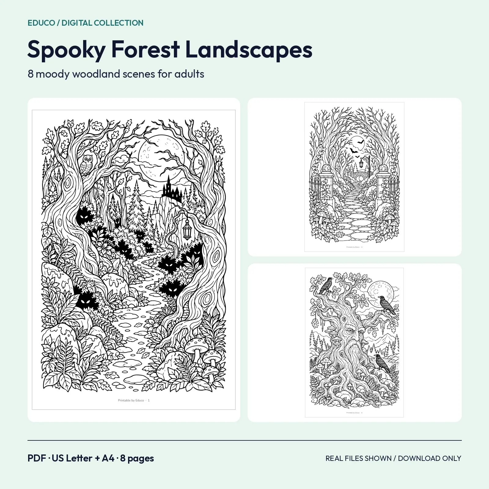 Spooky Forest Landscapes Coloring Pages – 8 Moody Woodland Scenes for Adults, preview 1 of 3