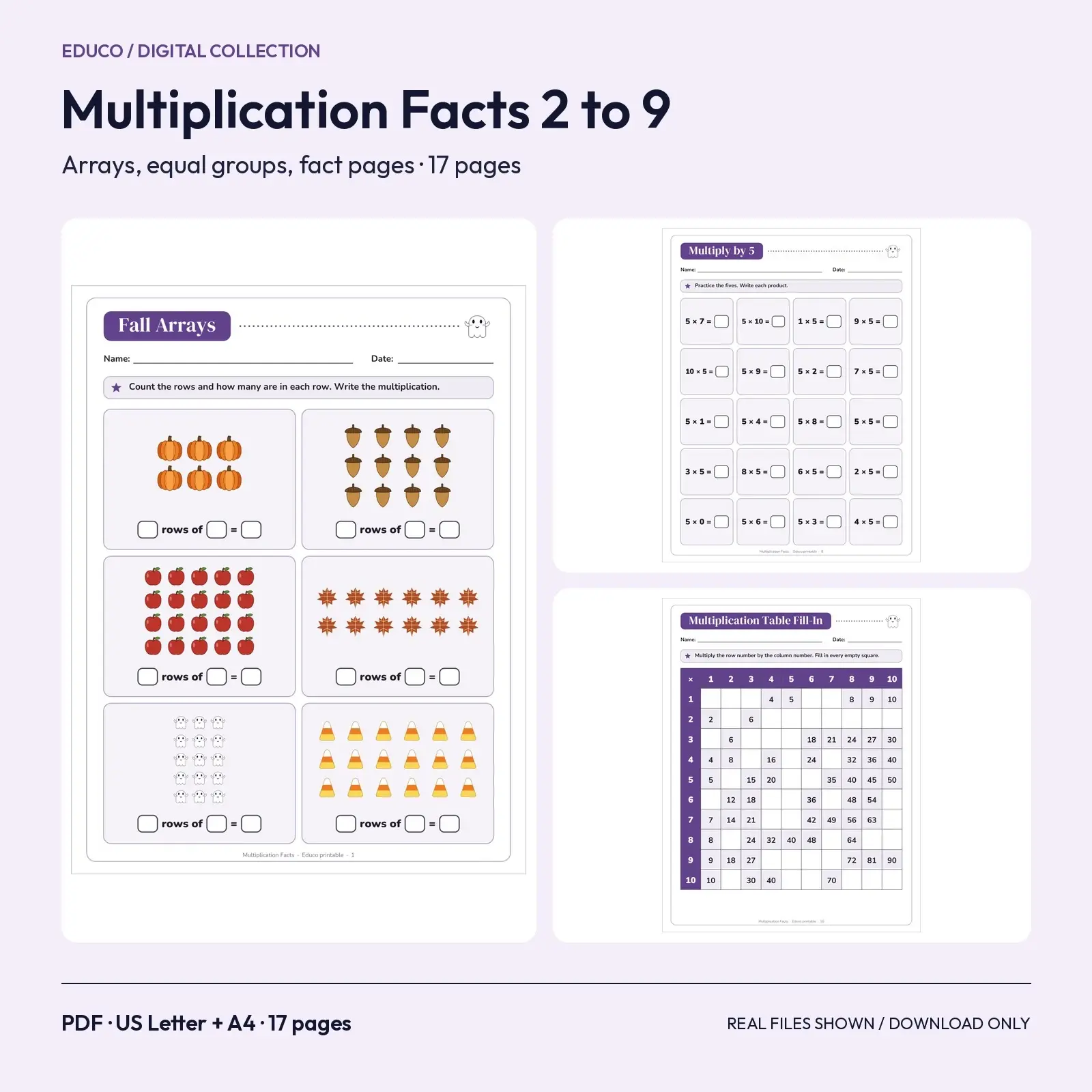 Multiplication Facts 2 to 9 with Fall Arrays and Equal Groups – 17 Printable Grade 3 Pages with Answer Key preview