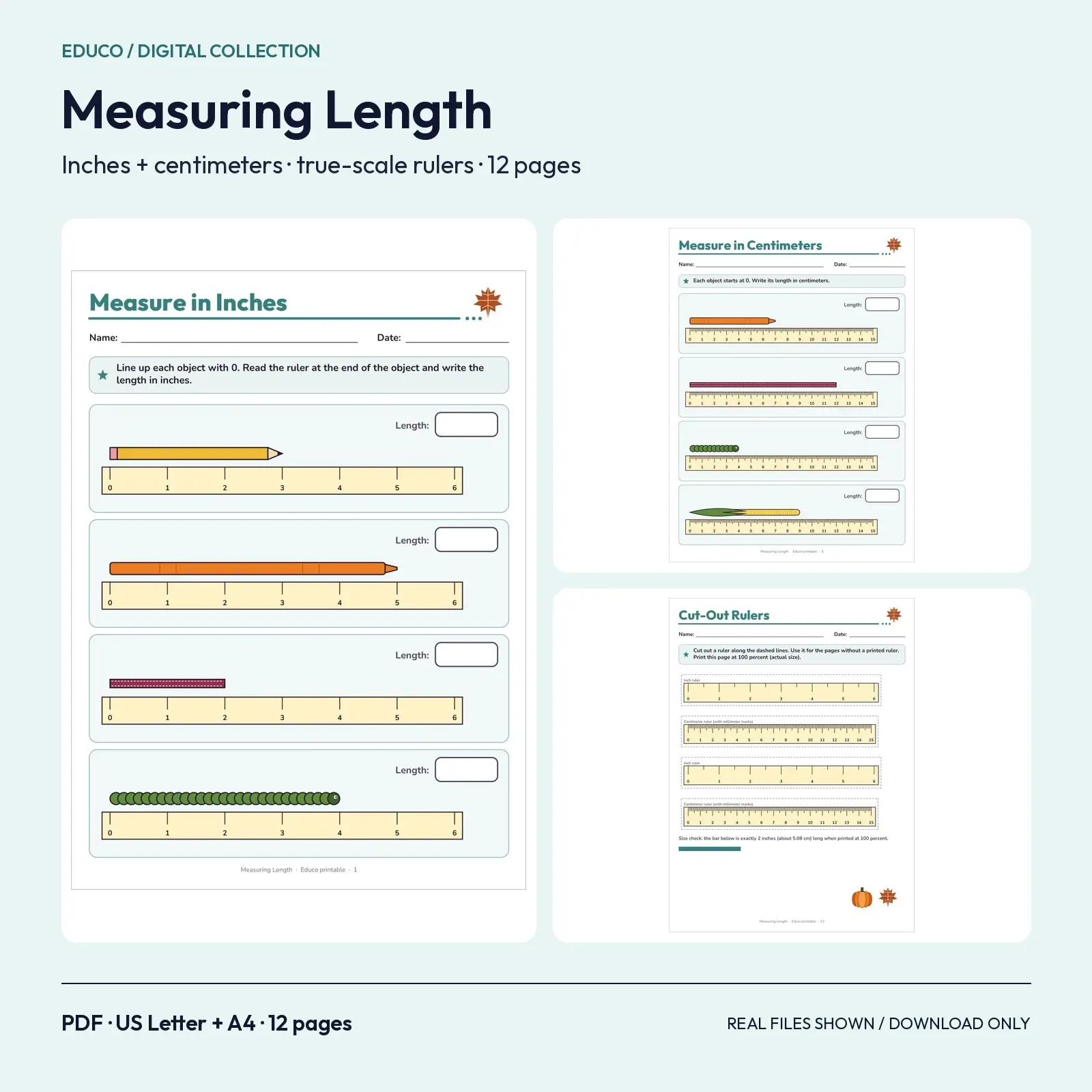 Measuring Length in Inches and Centimeters Worksheets – 12 Fall Pages with True-Scale Rulers, Grades 1-3 preview