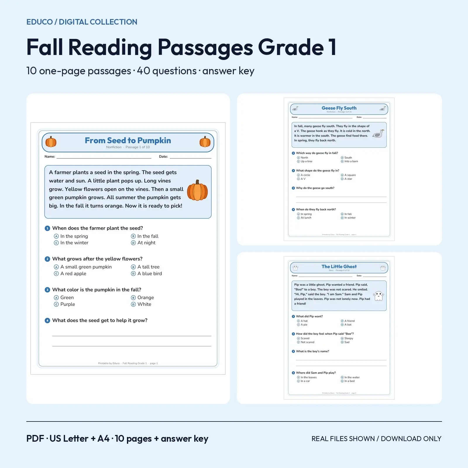 Fall Reading Comprehension Passages for Grade 1 - 10 One-Page Stories and Nonfiction Texts with Answer Key preview