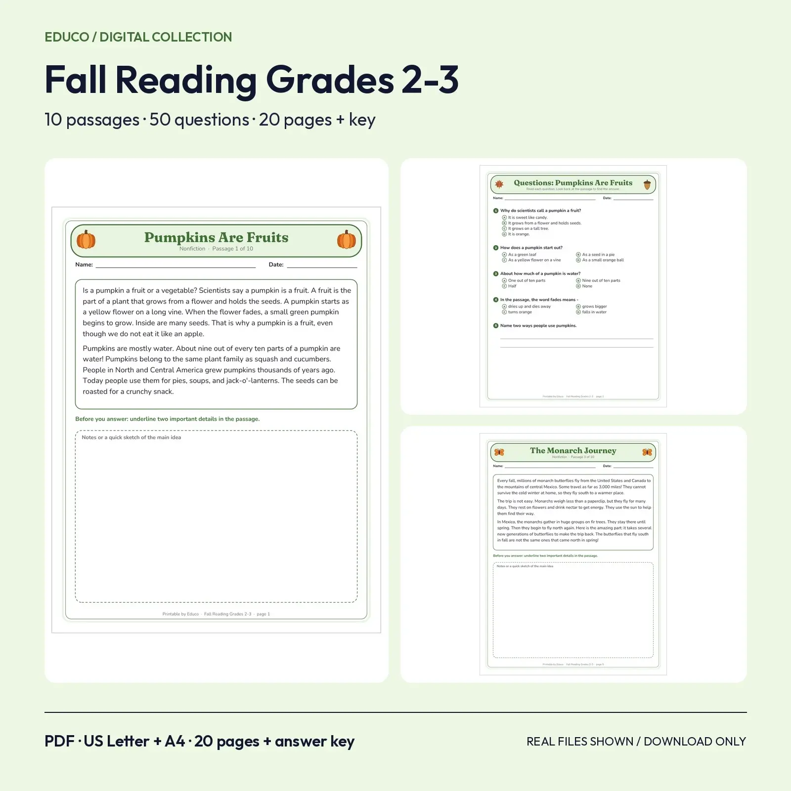 Fall Reading Comprehension for Grades 2-3 - 10 Original Passages with Questions, 20 Pages and Text-Evidence Answer Key preview