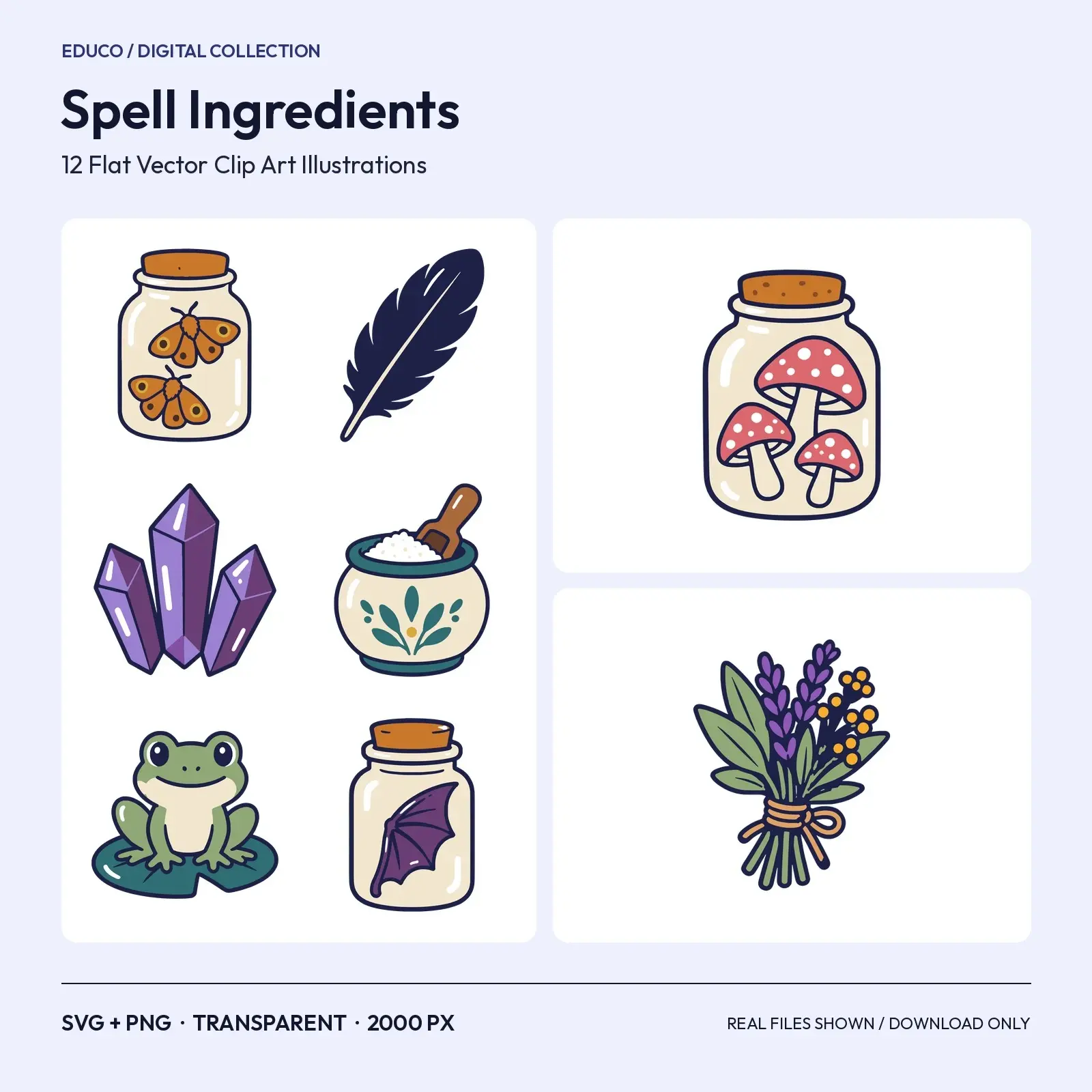 Spell Ingredients Clip Art – 12 Flat Vector Witchy Pantry Items preview