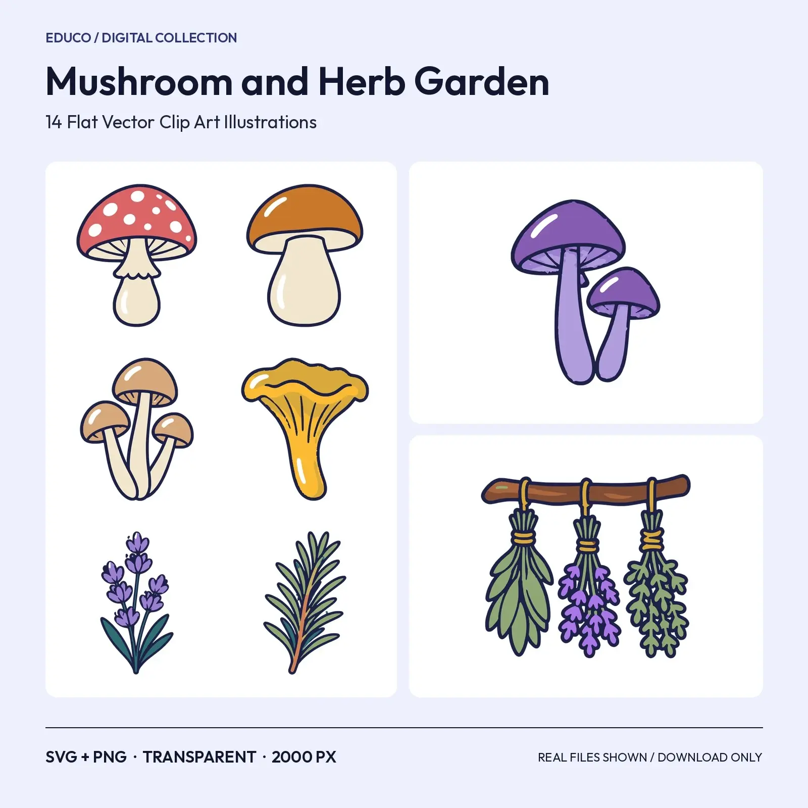 Mushroom and Herb Garden Clip Art – 14 Flat Vector Forest Botanicals preview