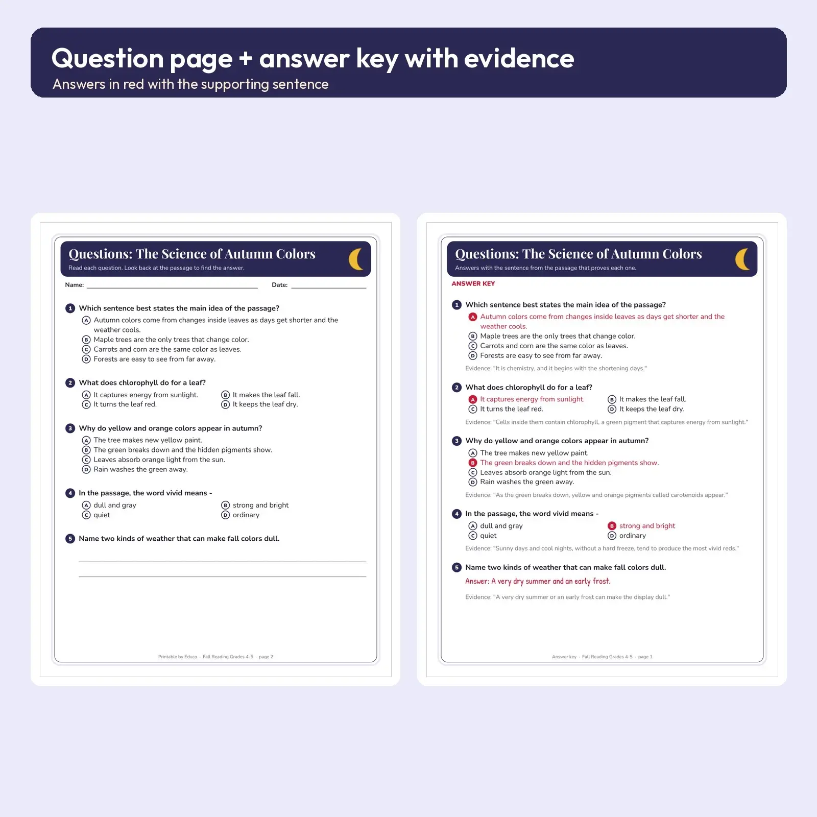 Autumn Reading Comprehension for Grades 4-5 - 10 Nonfiction and Fiction Passages, 20 Pages with Evidence Answer Key, preview 3 of 3