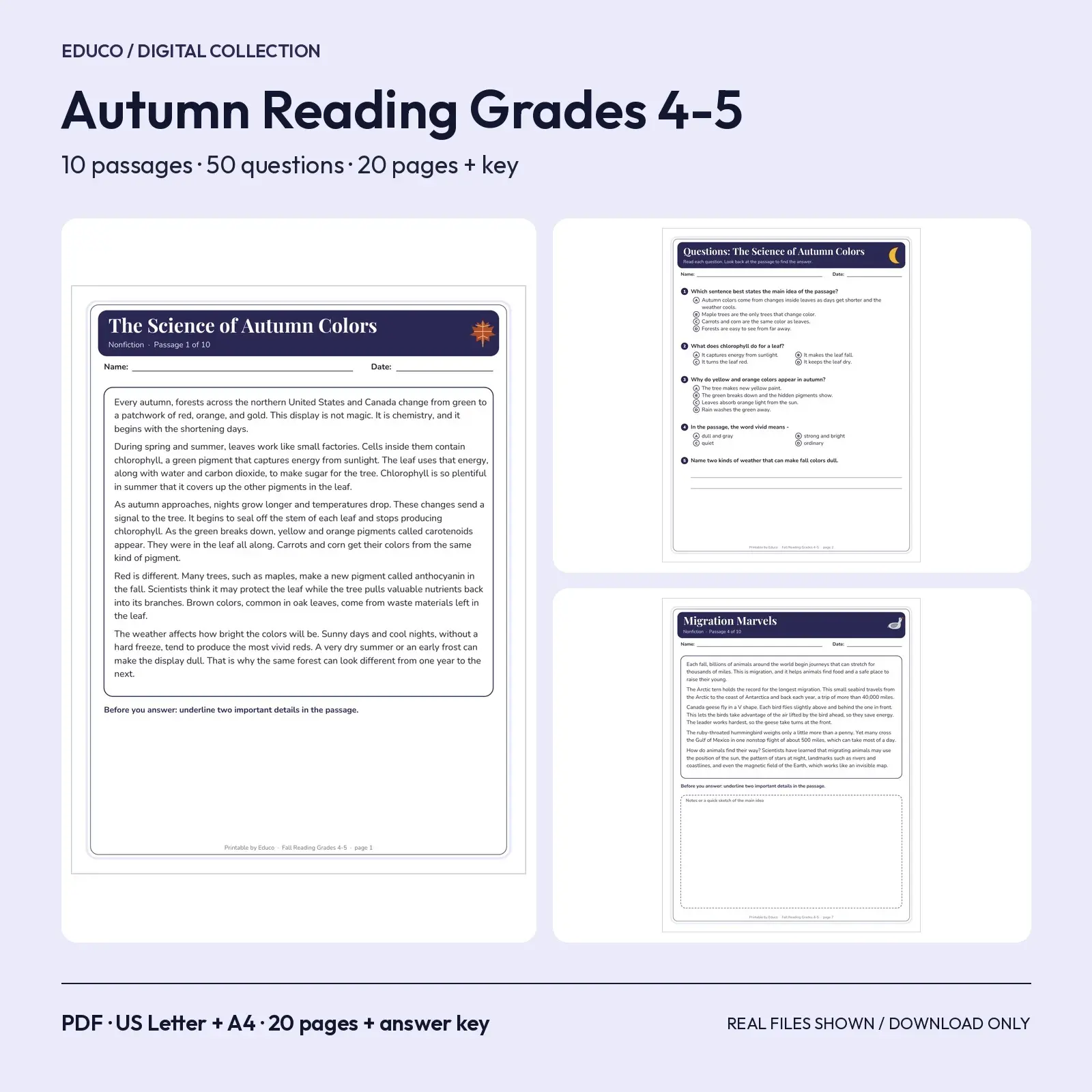 Autumn Reading Comprehension for Grades 4-5 - 10 Nonfiction and Fiction Passages, 20 Pages with Evidence Answer Key preview