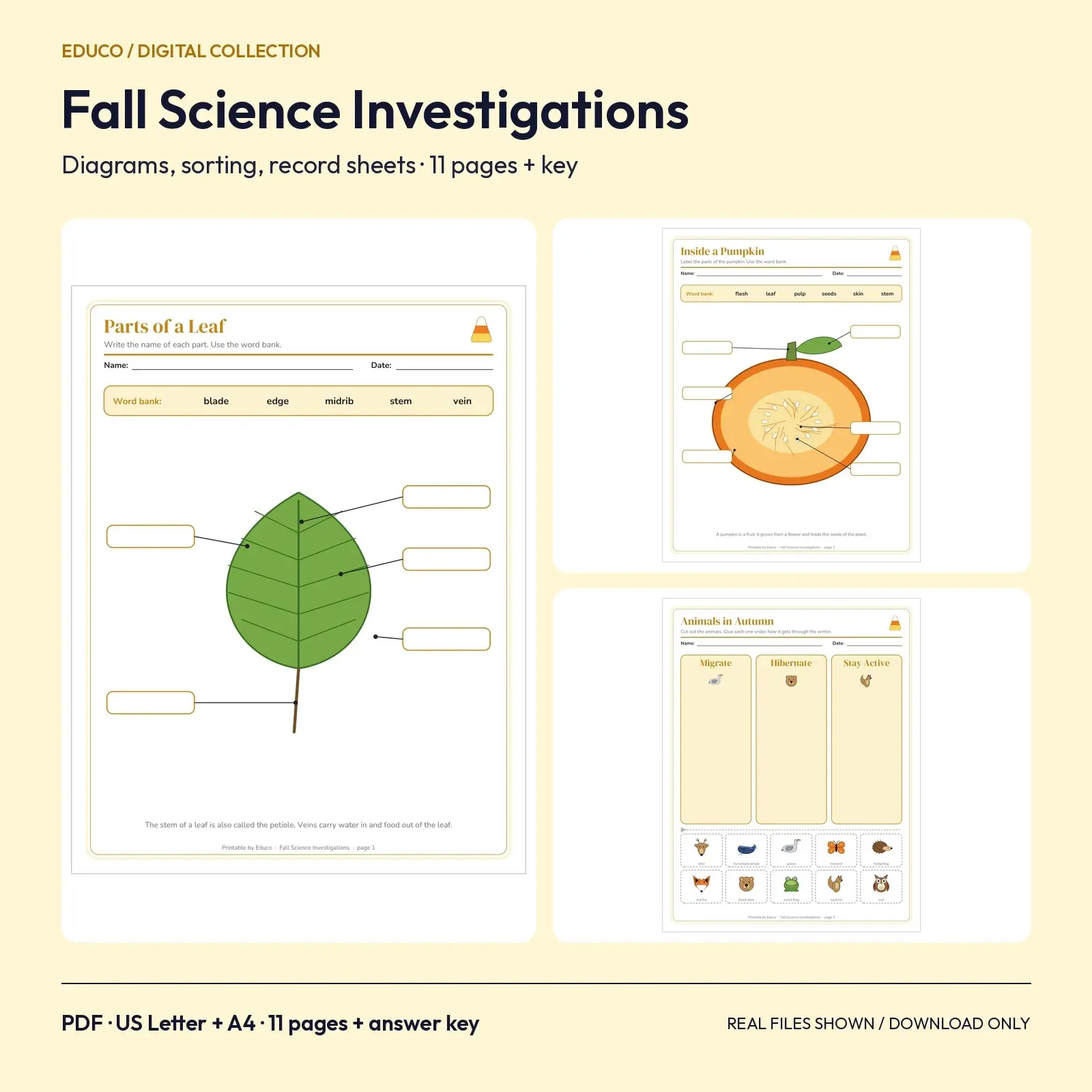 Fall Science Worksheets for Grades 1-3 - Leaf and Pumpkin Diagrams, Animals in Autumn and Nature Journal, 11 Pages preview