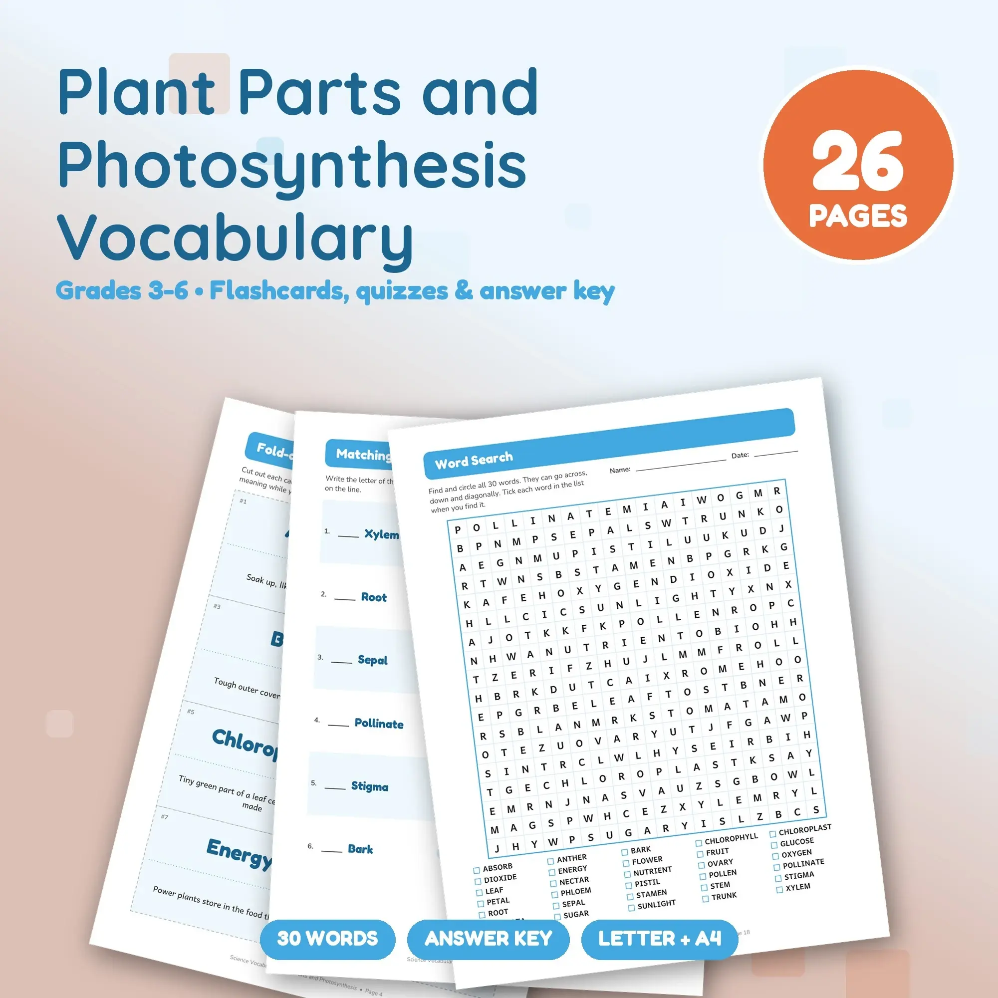 Science Vocabulary: Plant Parts and Photosynthesis - Flashcards, Matching & Quizzes, Grades 3-6 preview