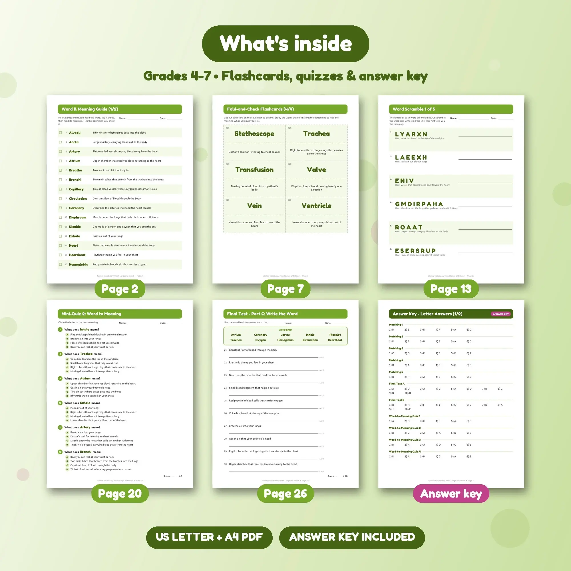 Heart Lungs and Blood Vocabulary Study Set - Flashcards, Quizzes & Word Search, Grades 4-7, preview 2 of 2