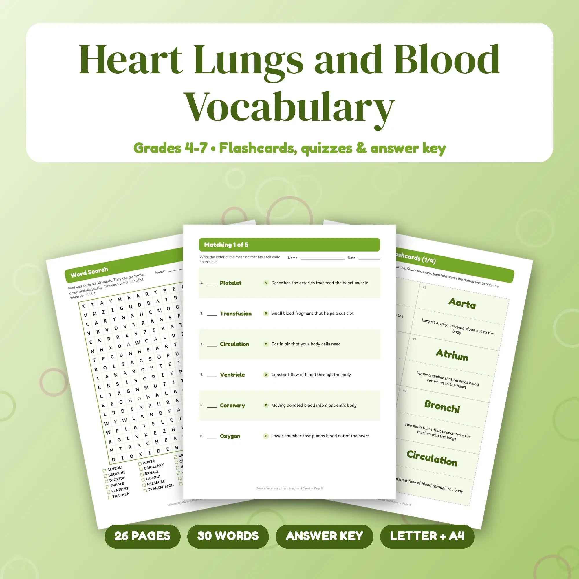 Heart Lungs and Blood Vocabulary Study Set - Flashcards, Quizzes & Word Search, Grades 4-7, preview 1 of 2