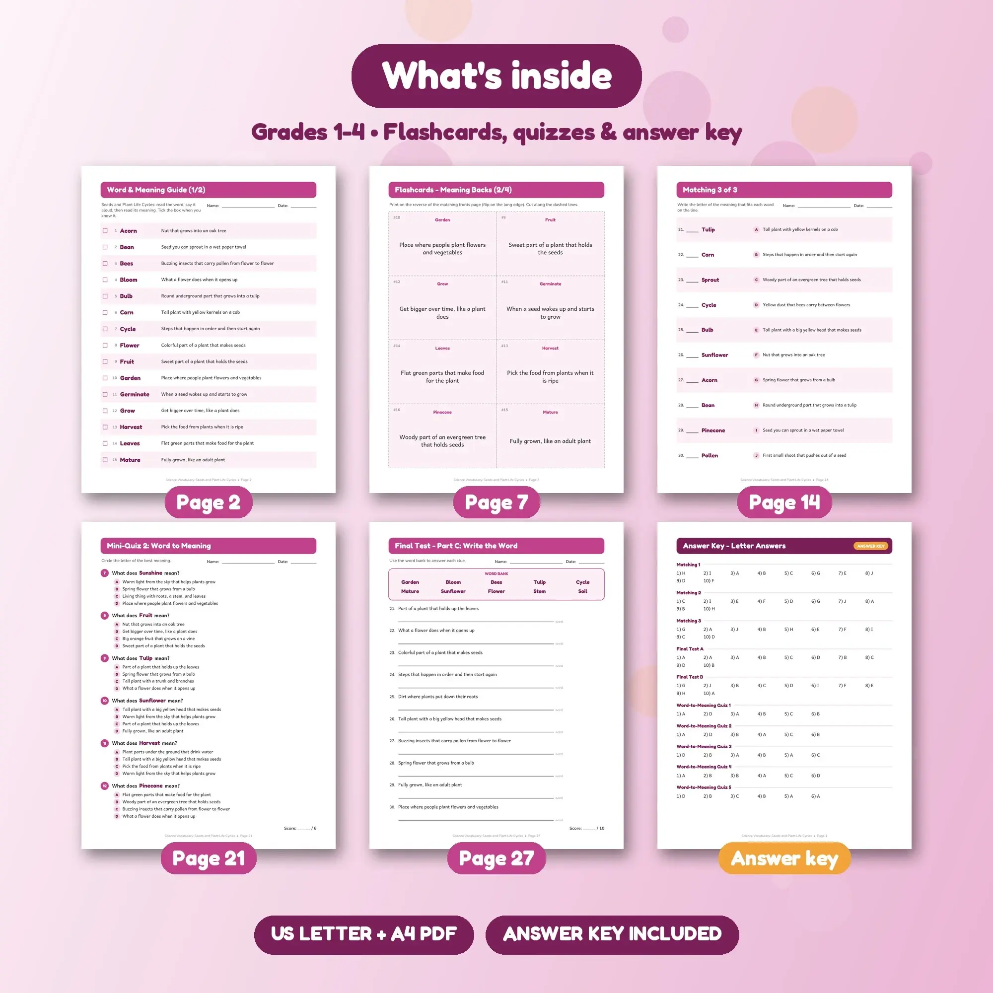 Seeds and Plant Life Cycles Vocabulary Practice Pack Grades 1-4 - 27 Printable Pages + Key, preview 2 of 2